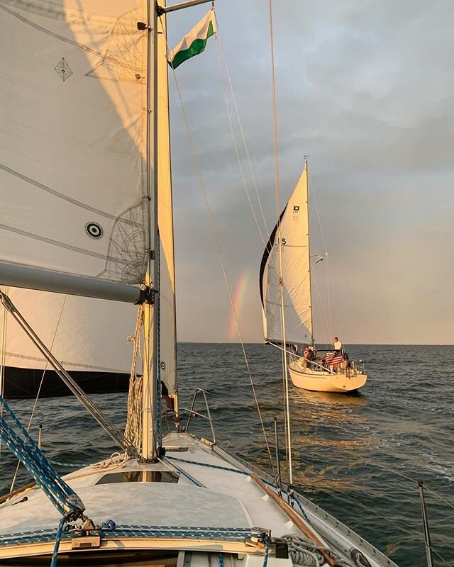 Rainbow Regatta #thesailormon #aleboatii #sailaddict #sailgrammers #sailorsbox #cruisingoutpost