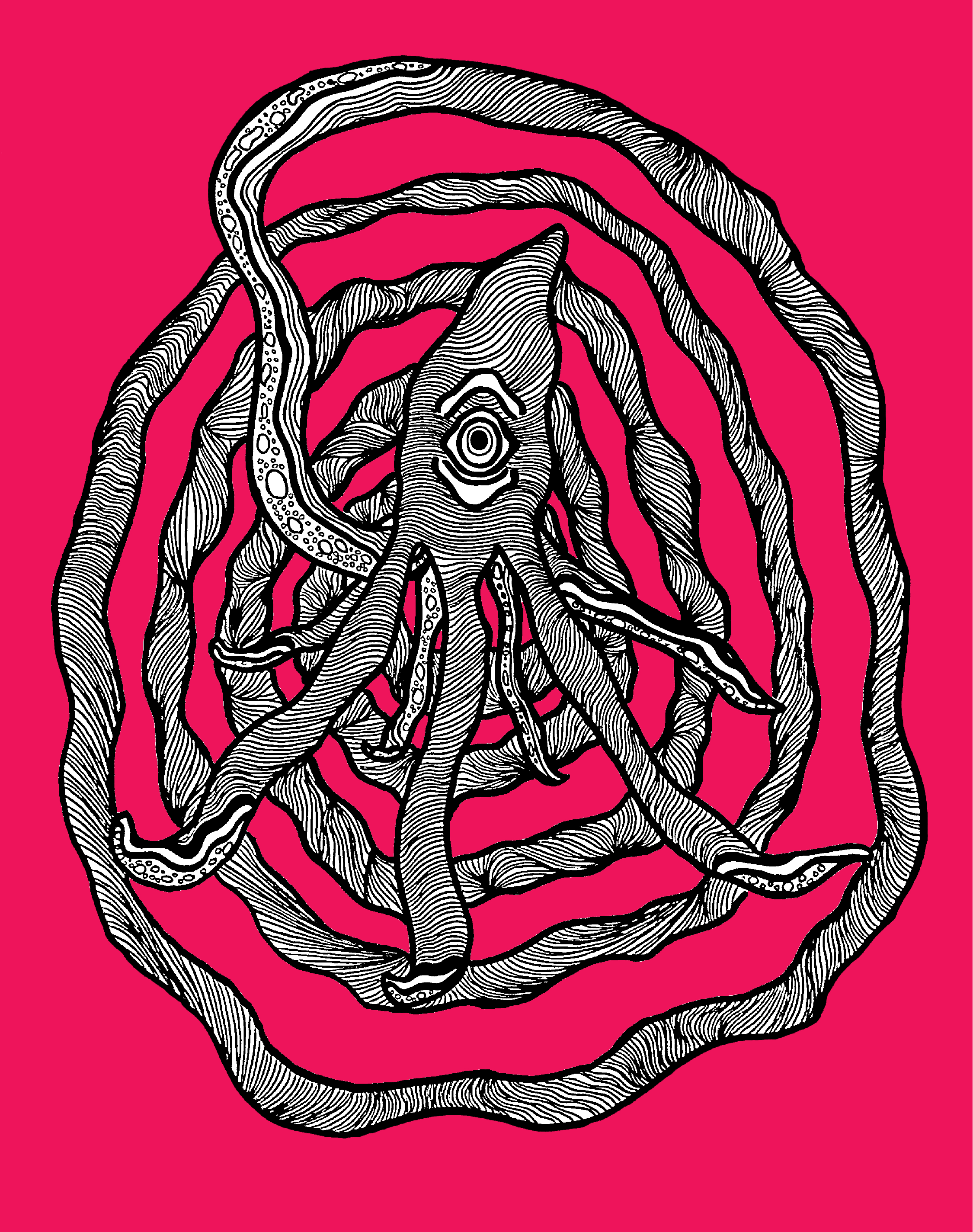Spiral Squid Graphic