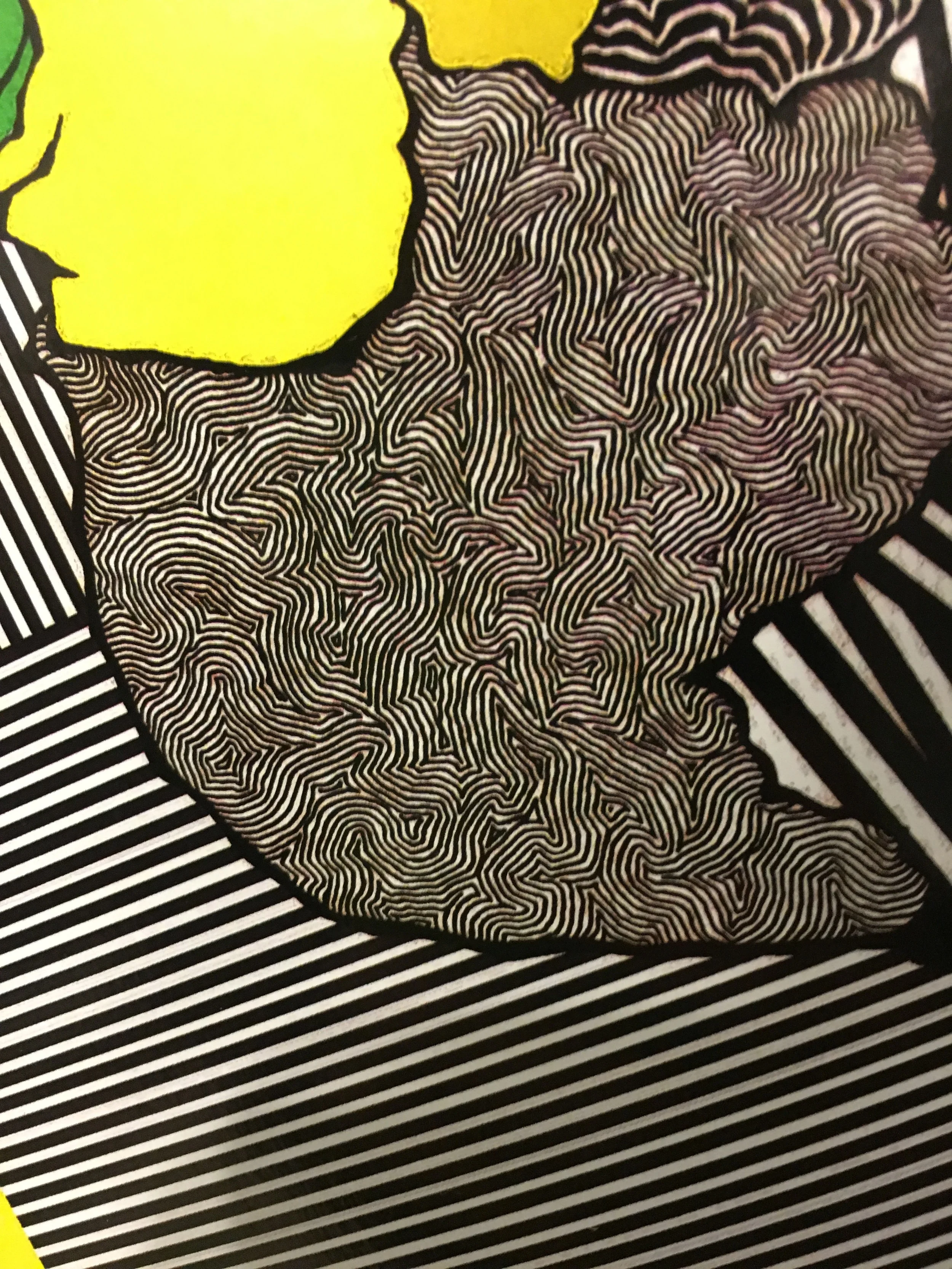 Close up on some fine - lined detail of the fish and op art background