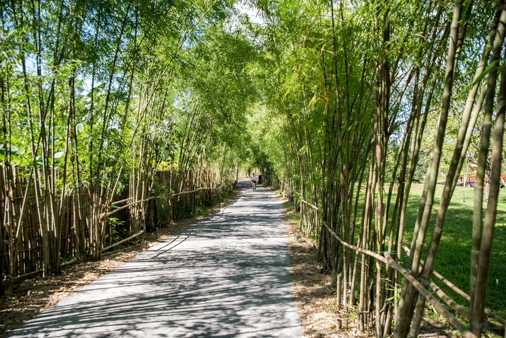 YOGA, HOT SPRINGS, WELLNESS RETREAT VIETNAM — Adriana Cortazzo Yoga