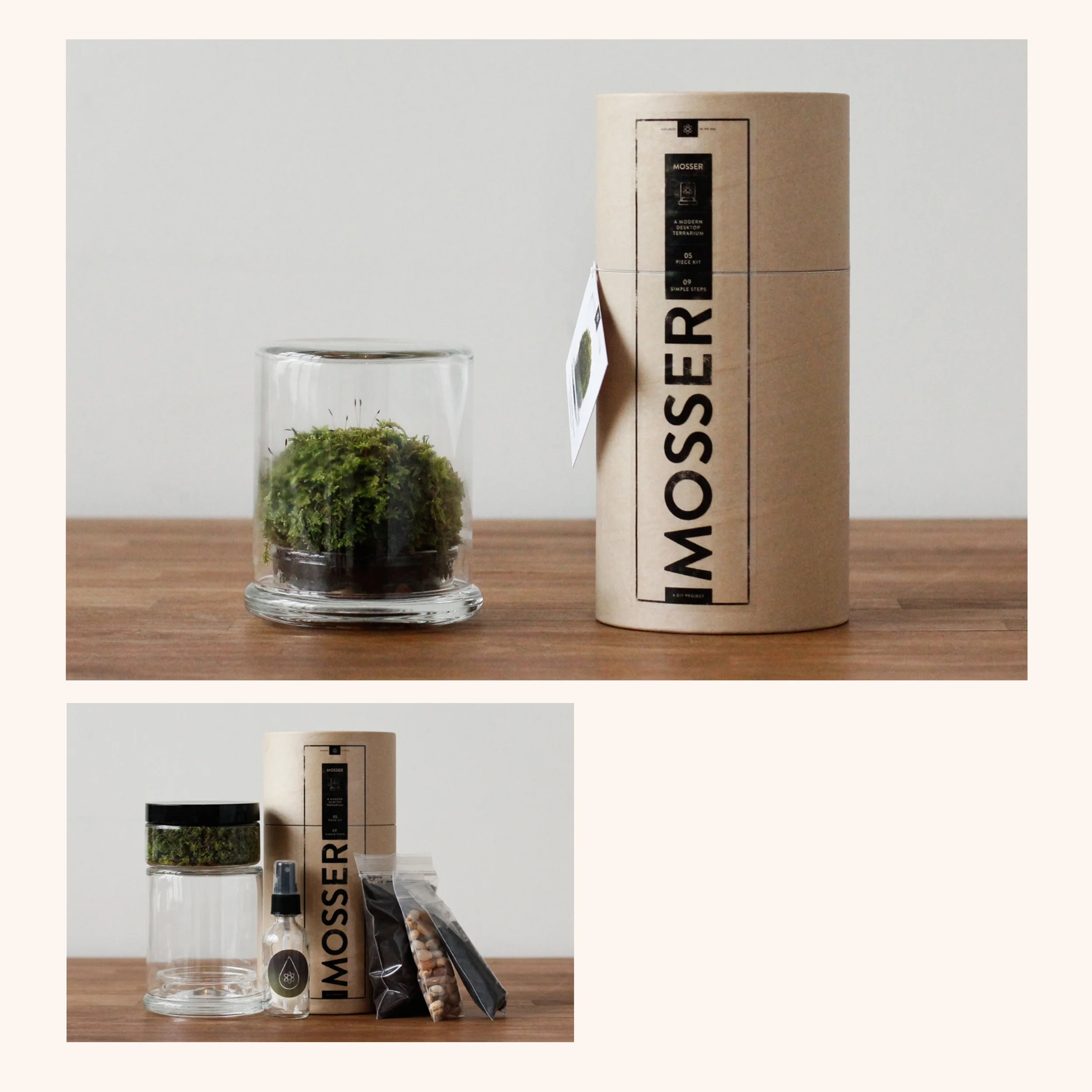 jennica-johnstone-mosser_.jpg