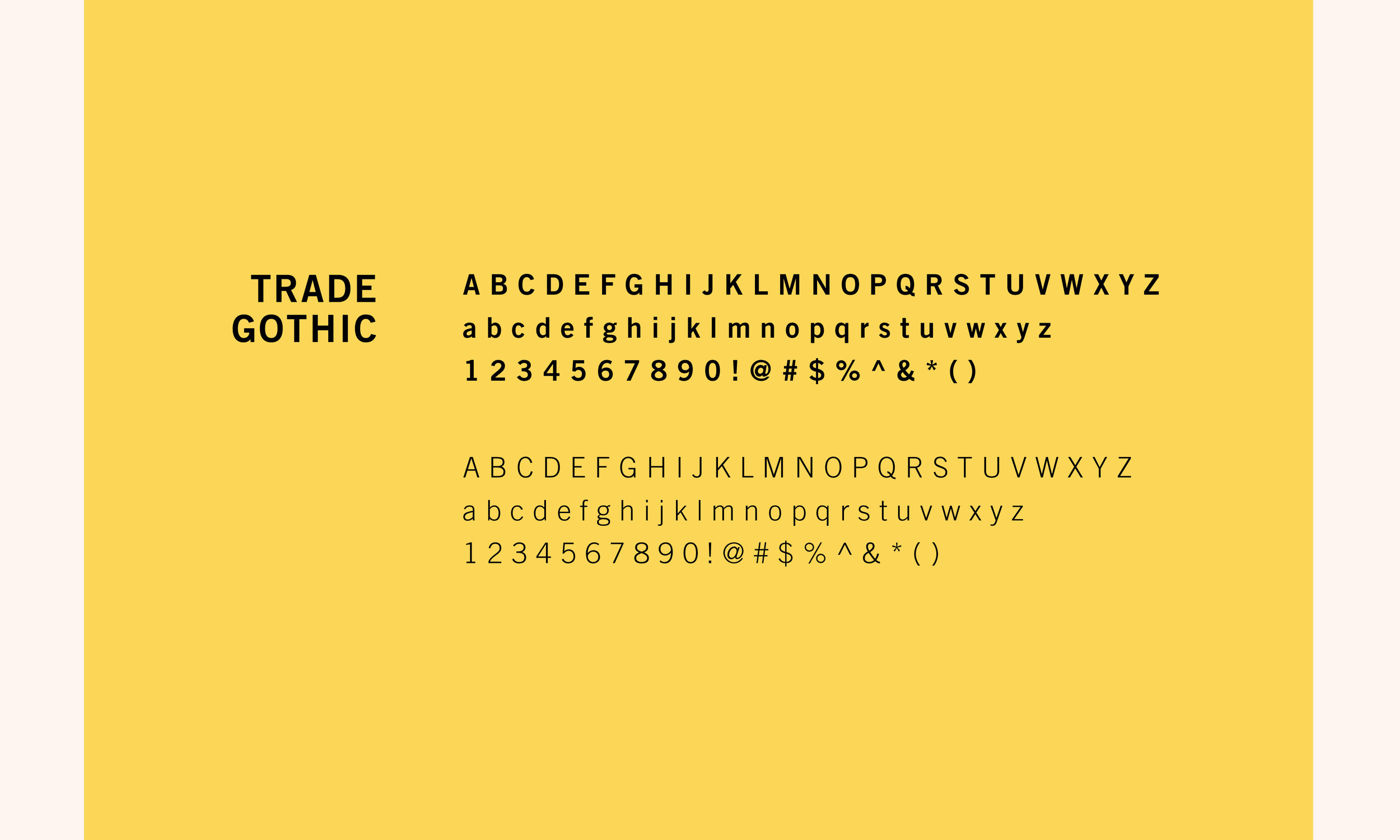  Primary Brand Typeface 