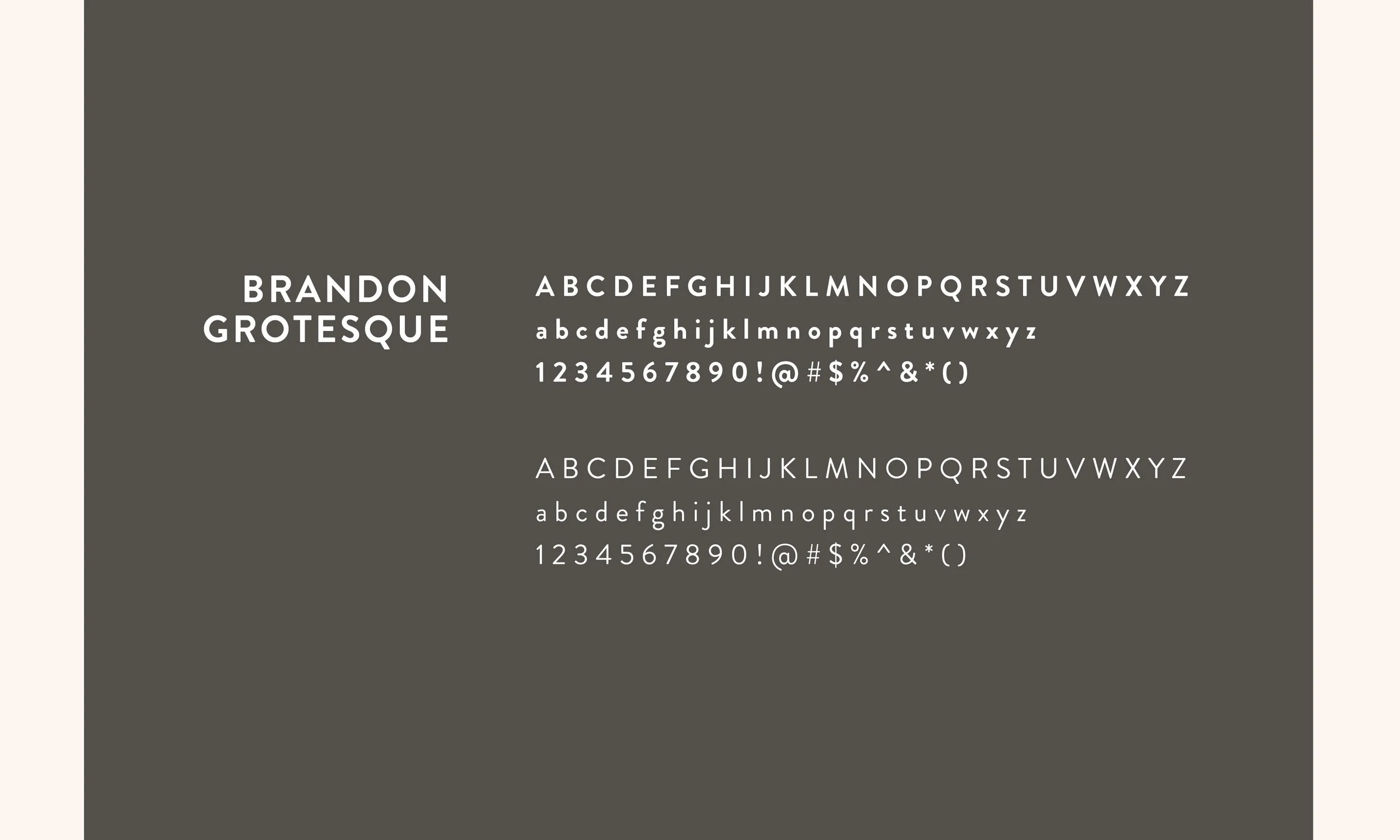  Primary Brand Typeface 