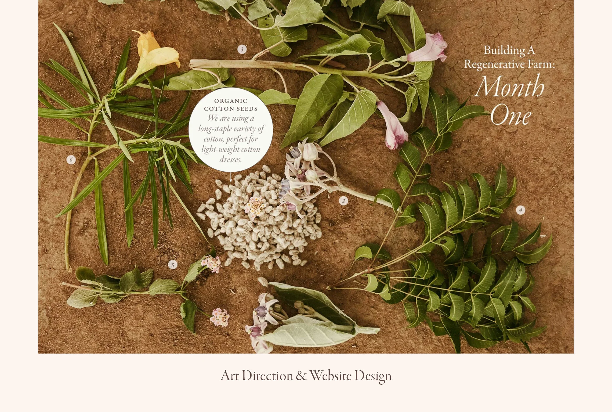 JENNICA ATKINSON2.jpg