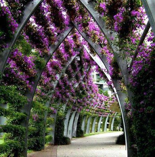 SouthBank - Brisbane (via l andarch.c om )