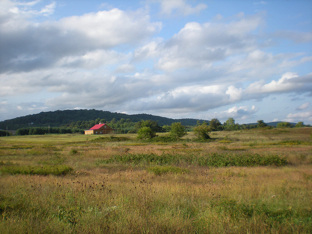 Longmoor Farm Pic #12, September 26, 2011.JPG