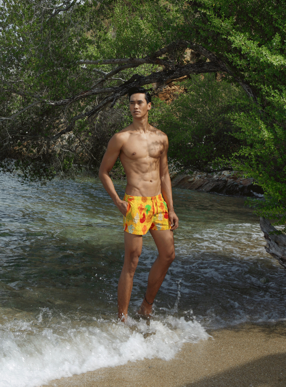trunks : TIMO