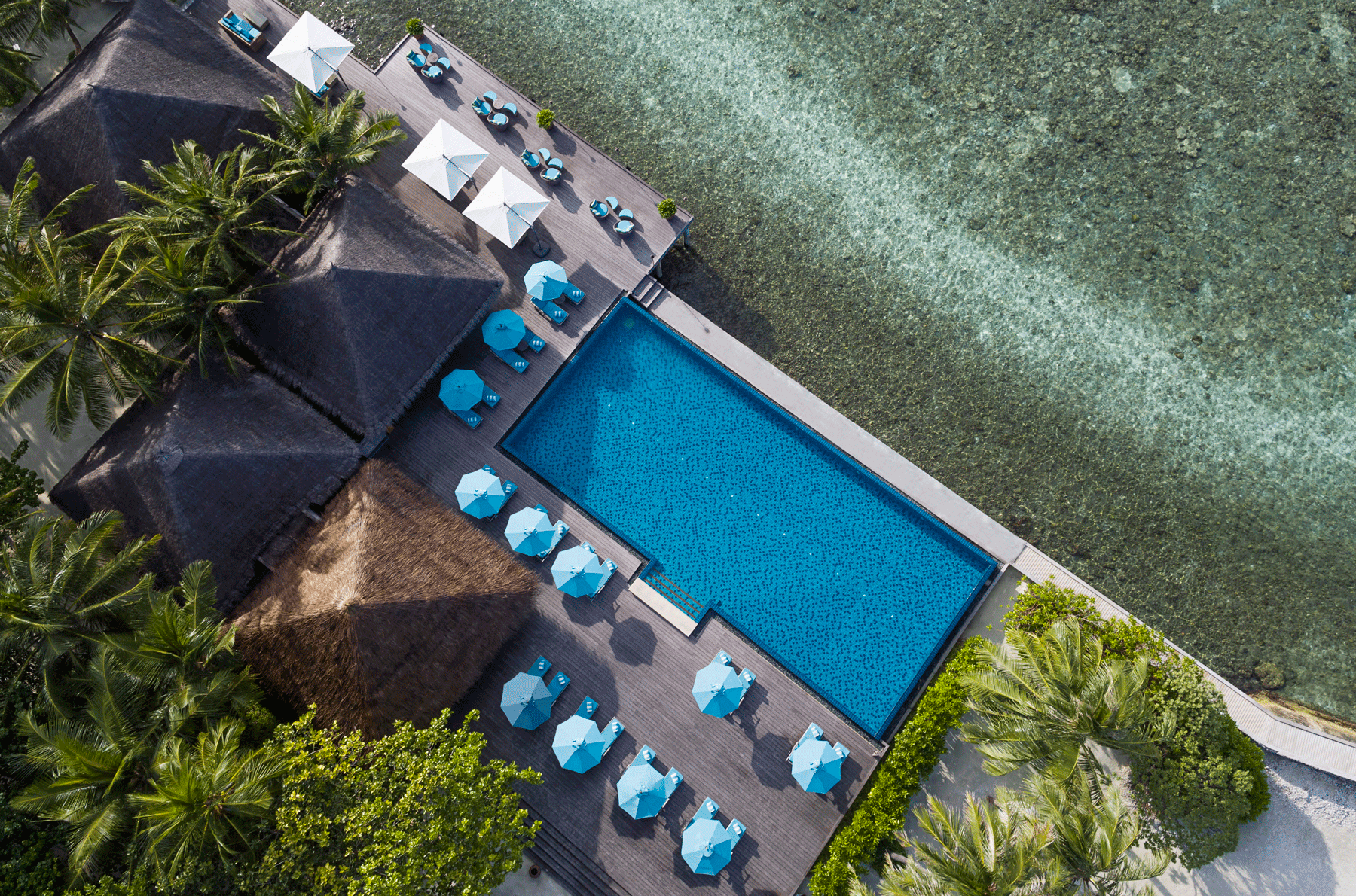 82283174-H1-AVEL_Dhoni_Pool_Aerial_01_G_A_H-copy.png