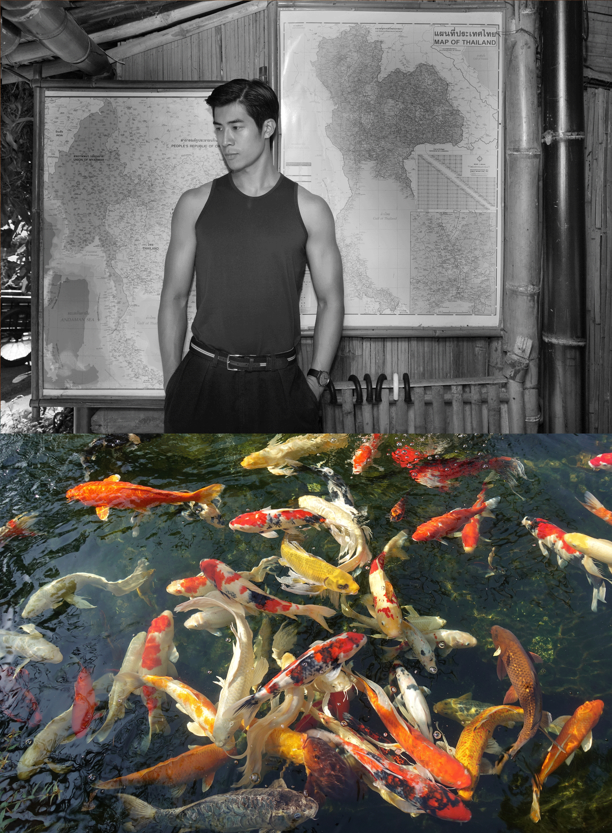 tanktop : NOXX / watch : FORREST