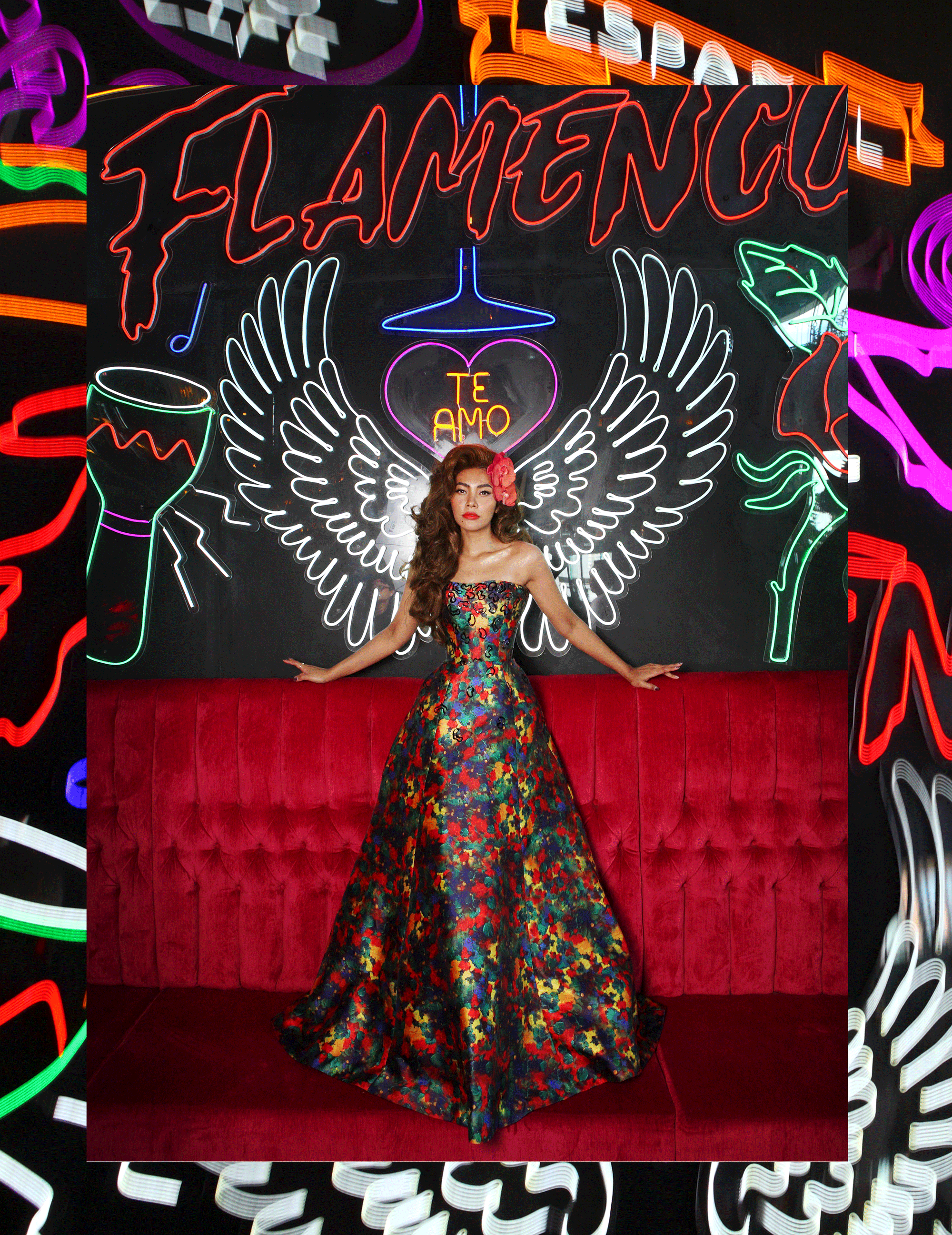 flamenco.png