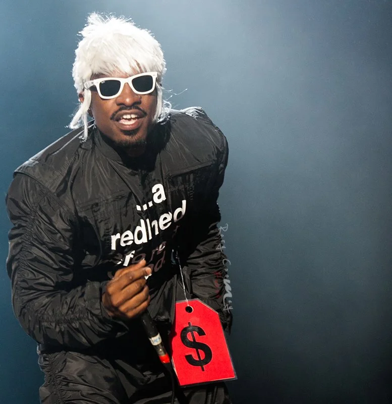 0002 outkast--electric-picnic_26277501146_o.jpg