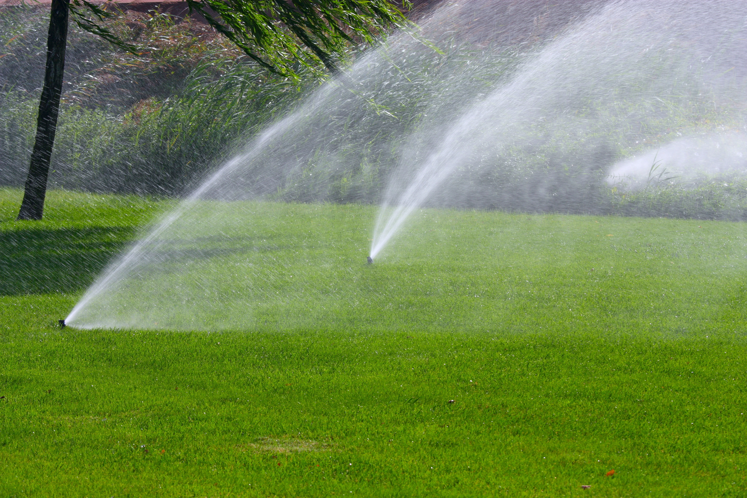 irrigation-in-hattiesburg-ms.jpg