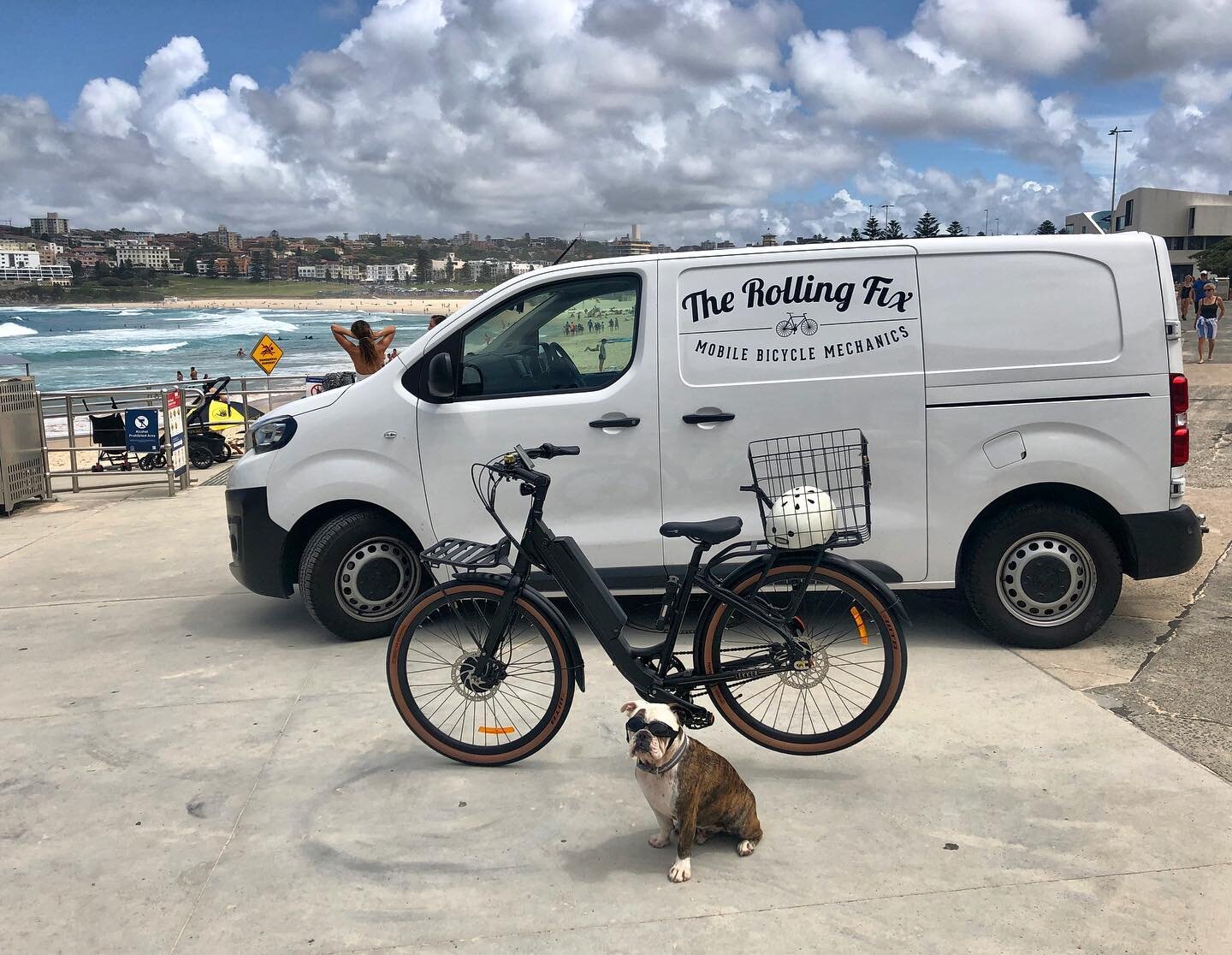 Zoom in on dog

New bike day