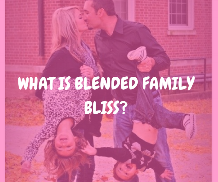 What is Blended Family Bliss.