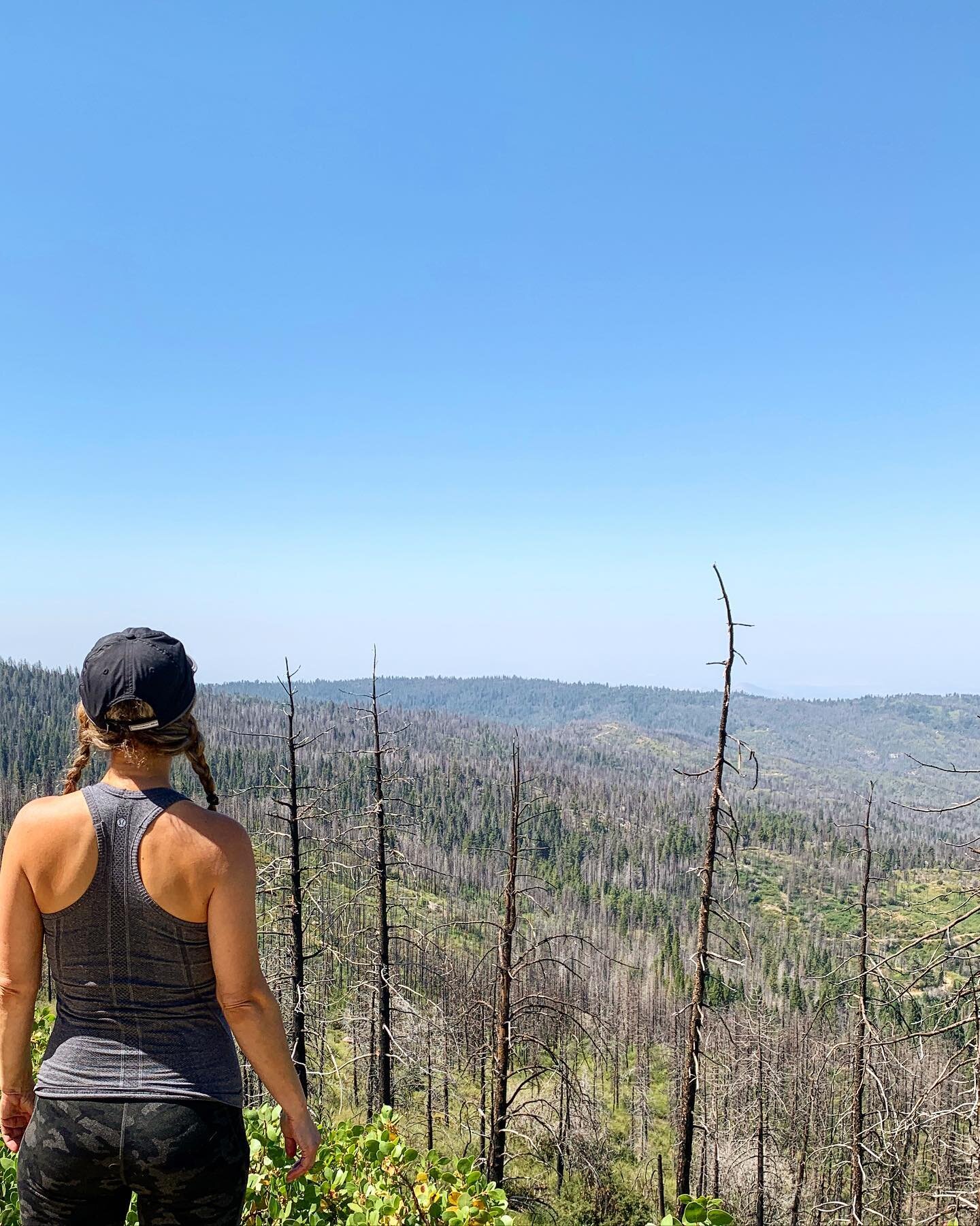 &ldquo;Earth is Burning...what will you do?&rdquo;
..
I stood looking over charred remains of the Sequoia National Forest, fully present to the power of destruction &mdash; yet hopeful, with just a glint of faith in renewal.
..
In November I released