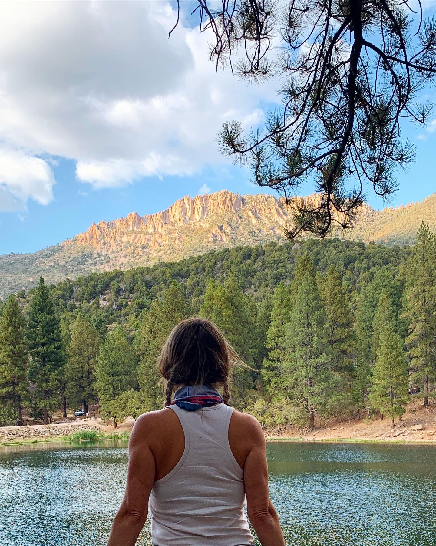 Now I see the secret of making the best person: it is to grow in the open air and to eat and sleep with the earth. -Walt Whitman
..
#getoutdoors #optoutside #nature #camp #hike #dixienationalforest #utah #saveourforests #trees #naturegirl #presence #