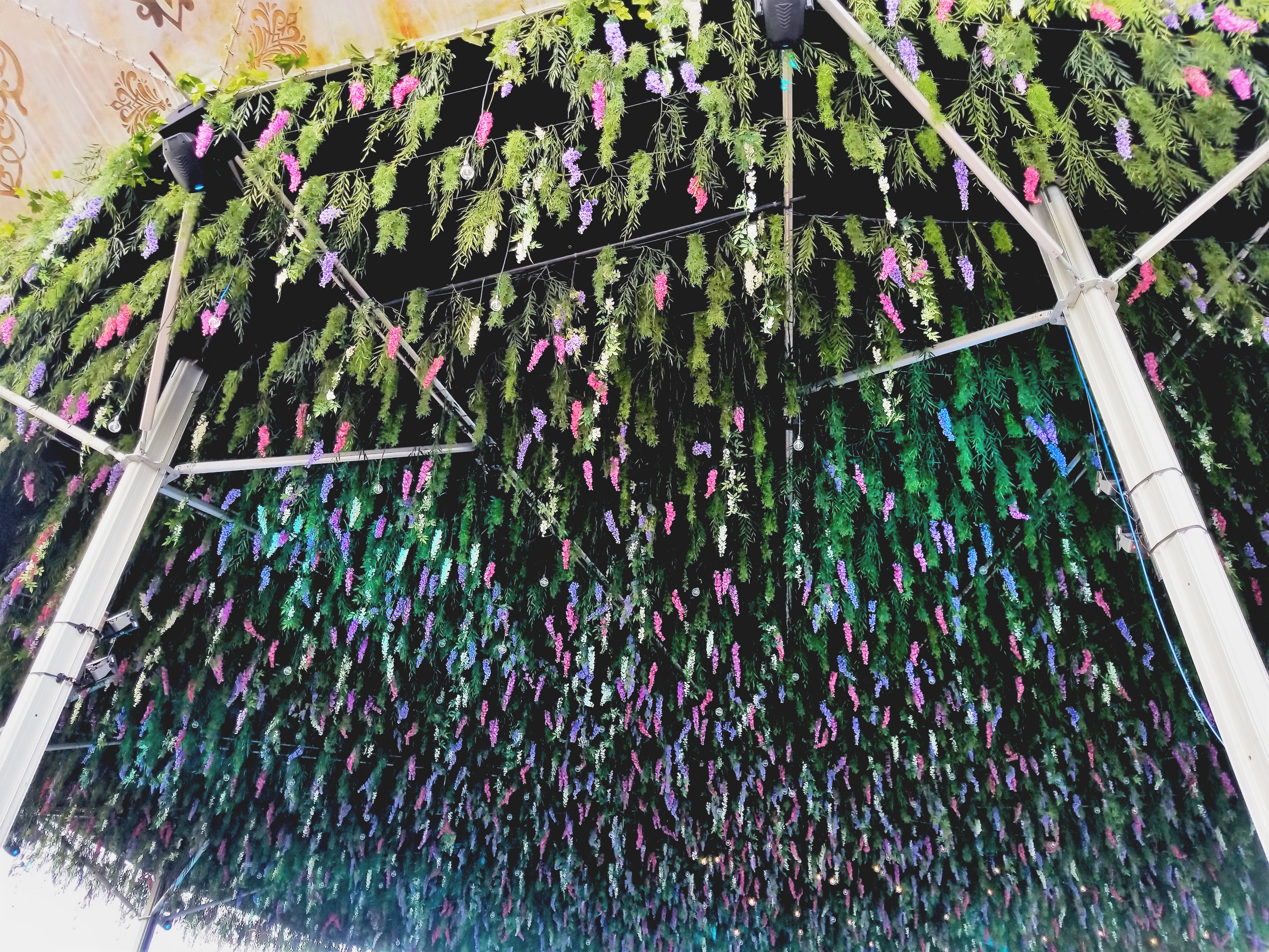 20180727_172709.jpg