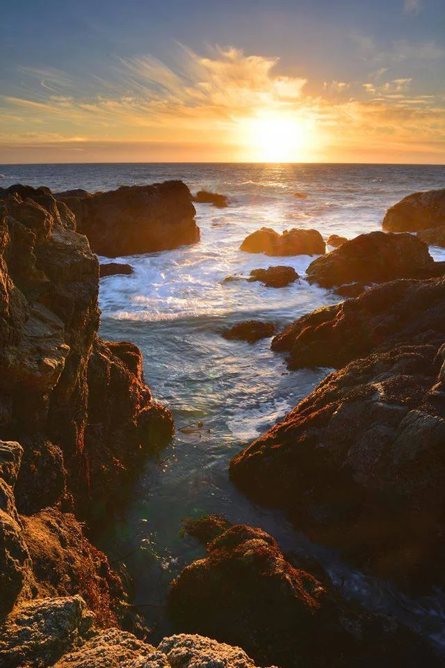 Mendocino Coast will open your heart