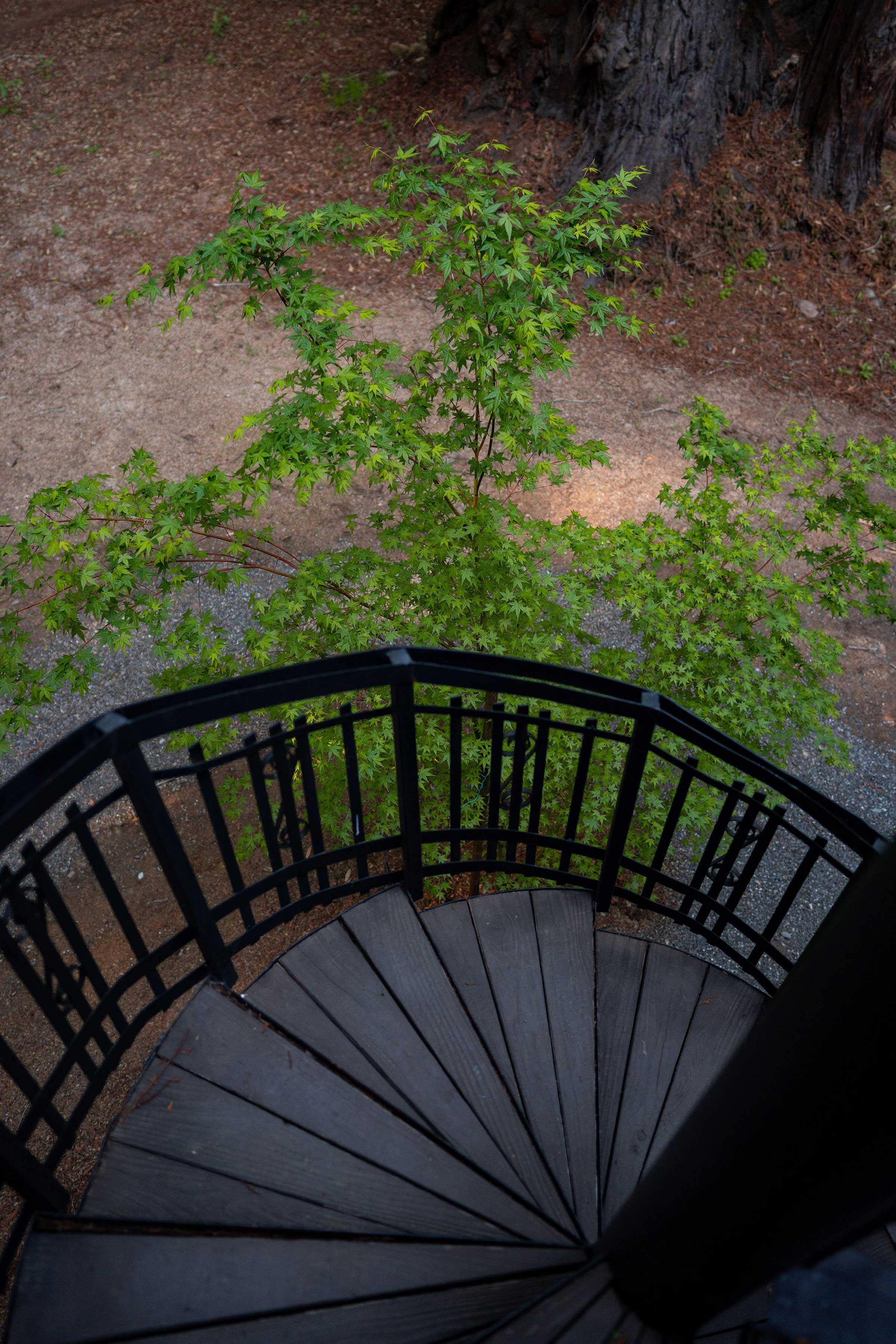The winding spiral staircase that leads to The Perch at The Brambles, Anderson Valley lodging