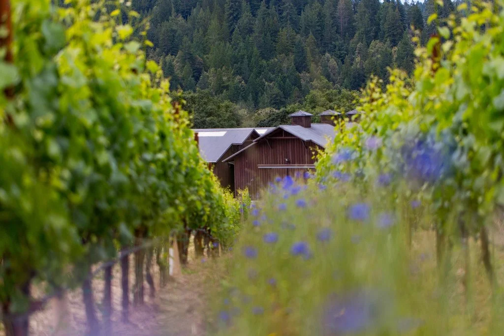 A Harvest Feast and Winemaker Dinner with Darrin Low of Domaine Anderson