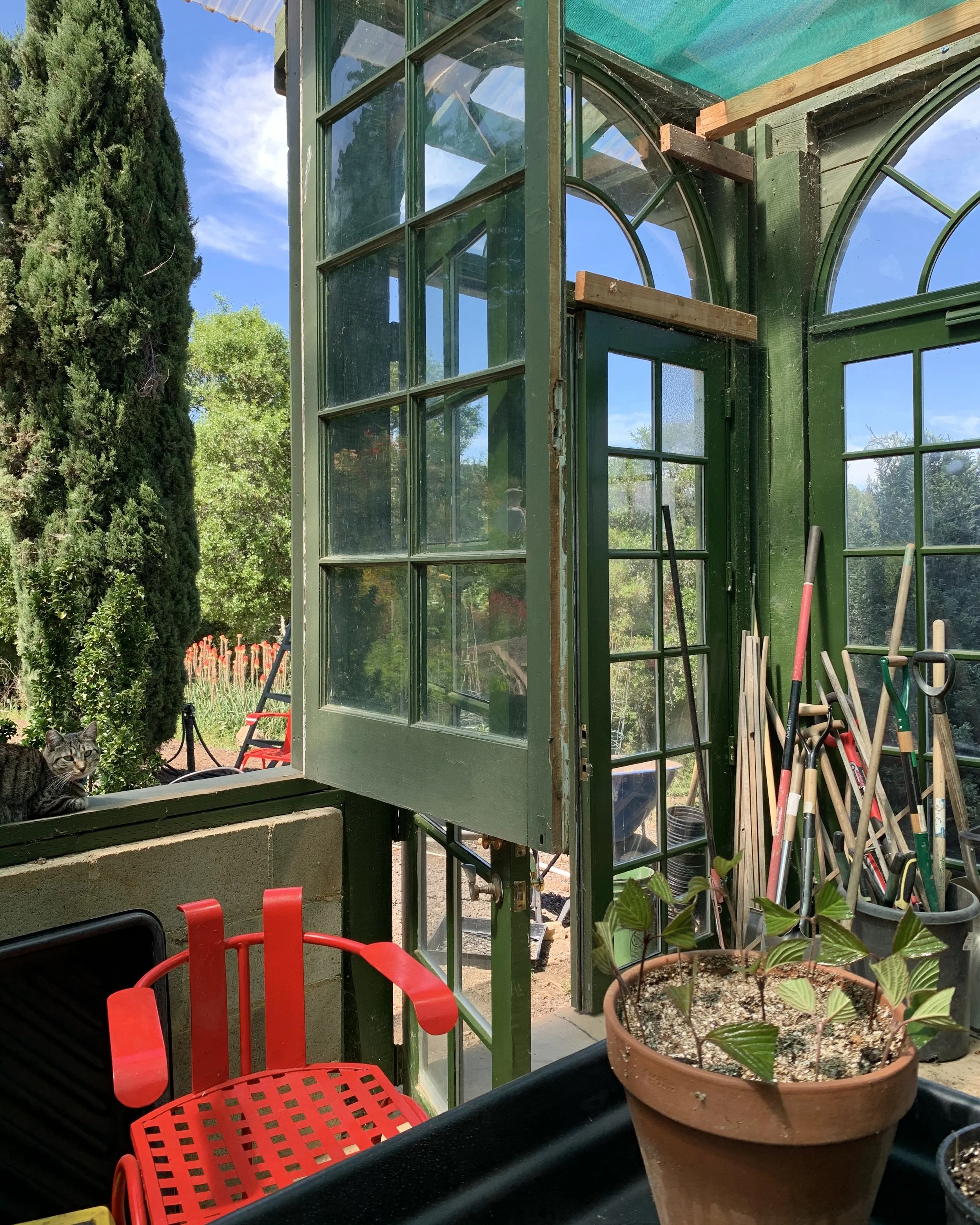 Bohemian Chemist Club Box Release- Spring Planting Workshop