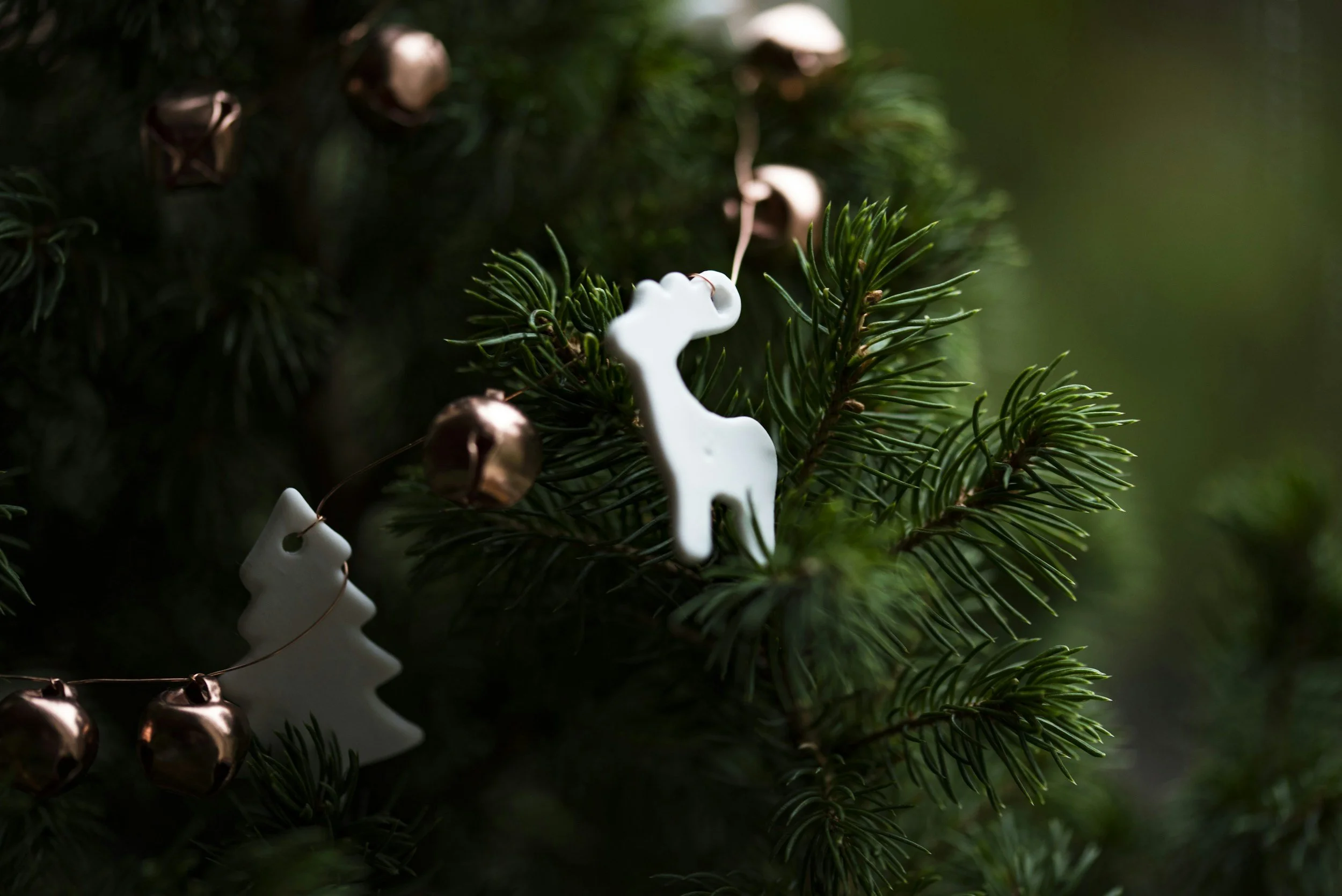 December Dinner &amp; Deals 