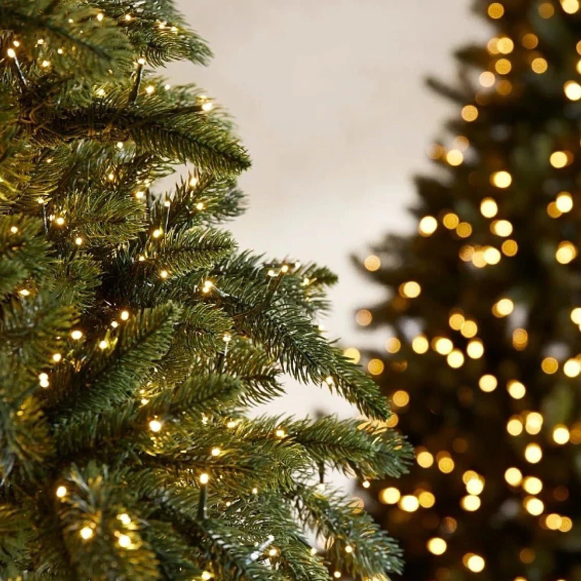 Looking for festive fun? 🎅 The Revere Holiday Tree Lighting and parade is happening this weekend! Support local vendors and soak up the holiday cheer. ✨

#DinasRealty #RealEstate #BostonRealEstate #BackBayRealEstate #RevereBeachRealEstate #Team #Buy