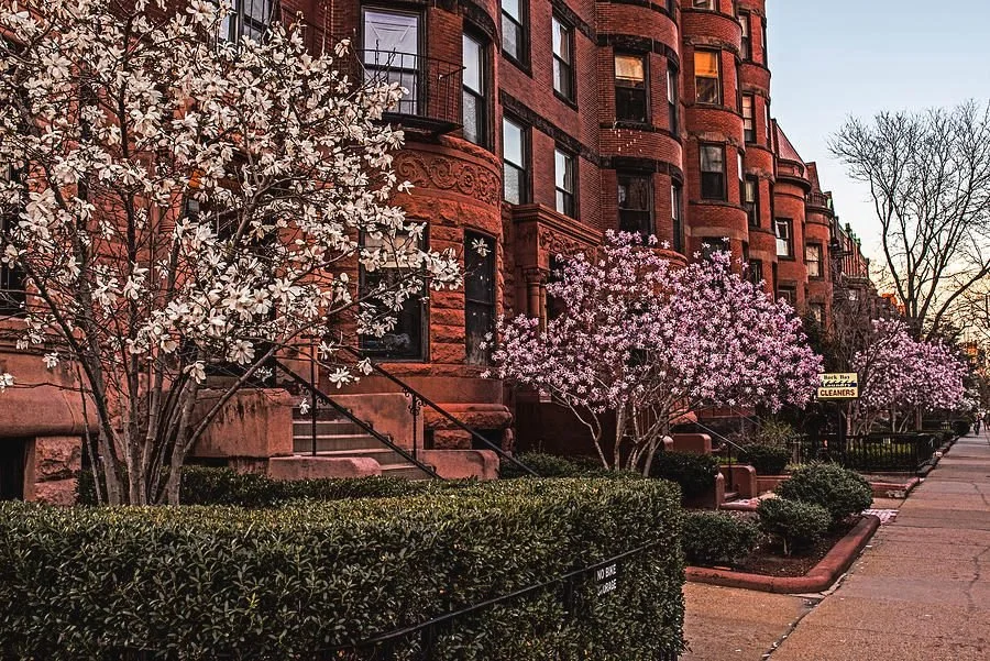 The market is always shifting.Inventory, interest rates, and buyer demand all impact strategy. The right guidance makes all the difference. Dina's Realty is here to help you with all your real estate needs.

📱781-656-5156 💻 info@dinasrealty.com

#D