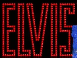 Elvis and Roy Orbison Tribute  2 Shows