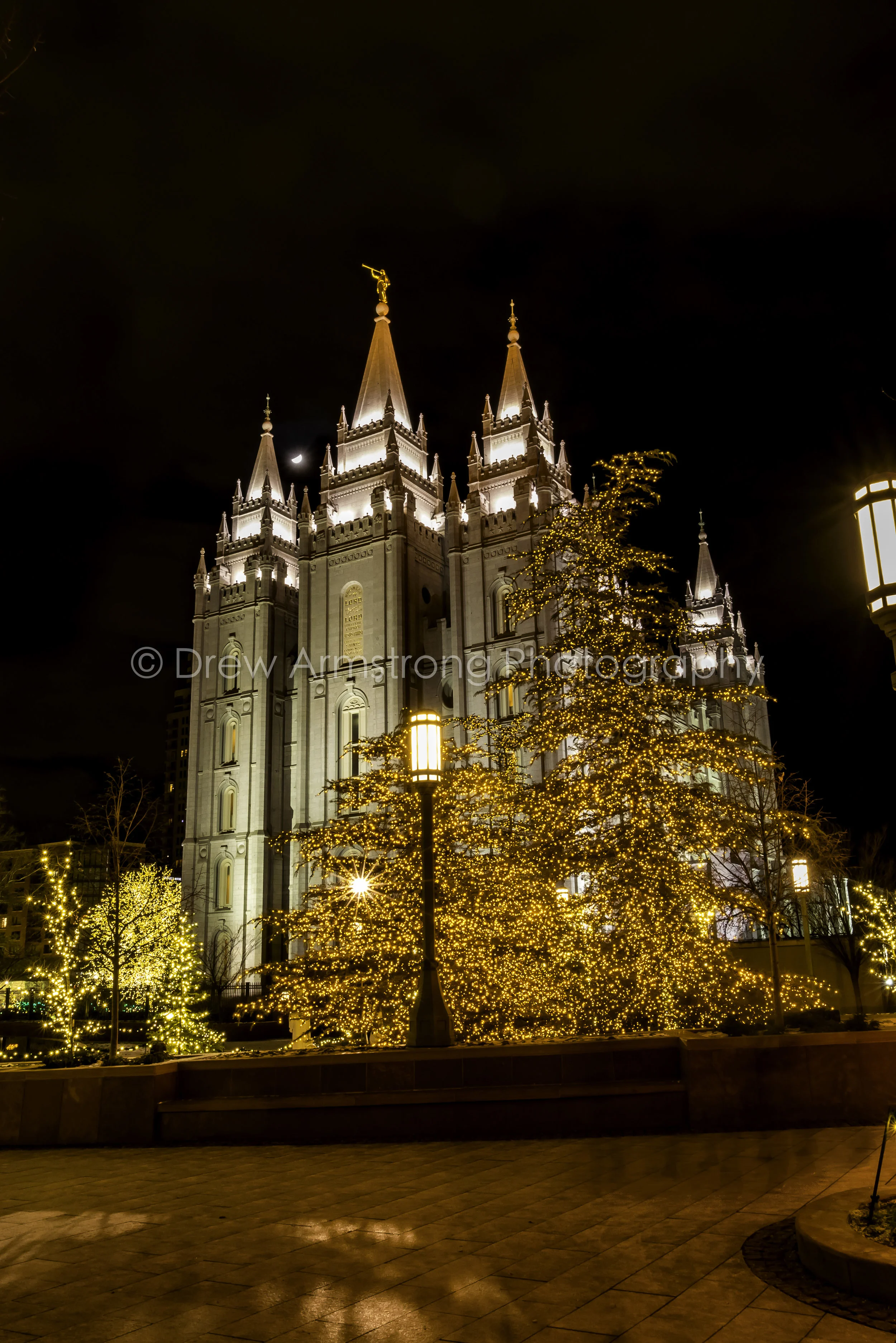 Salt Lake Temple Christmas (11 of 1).jpg
