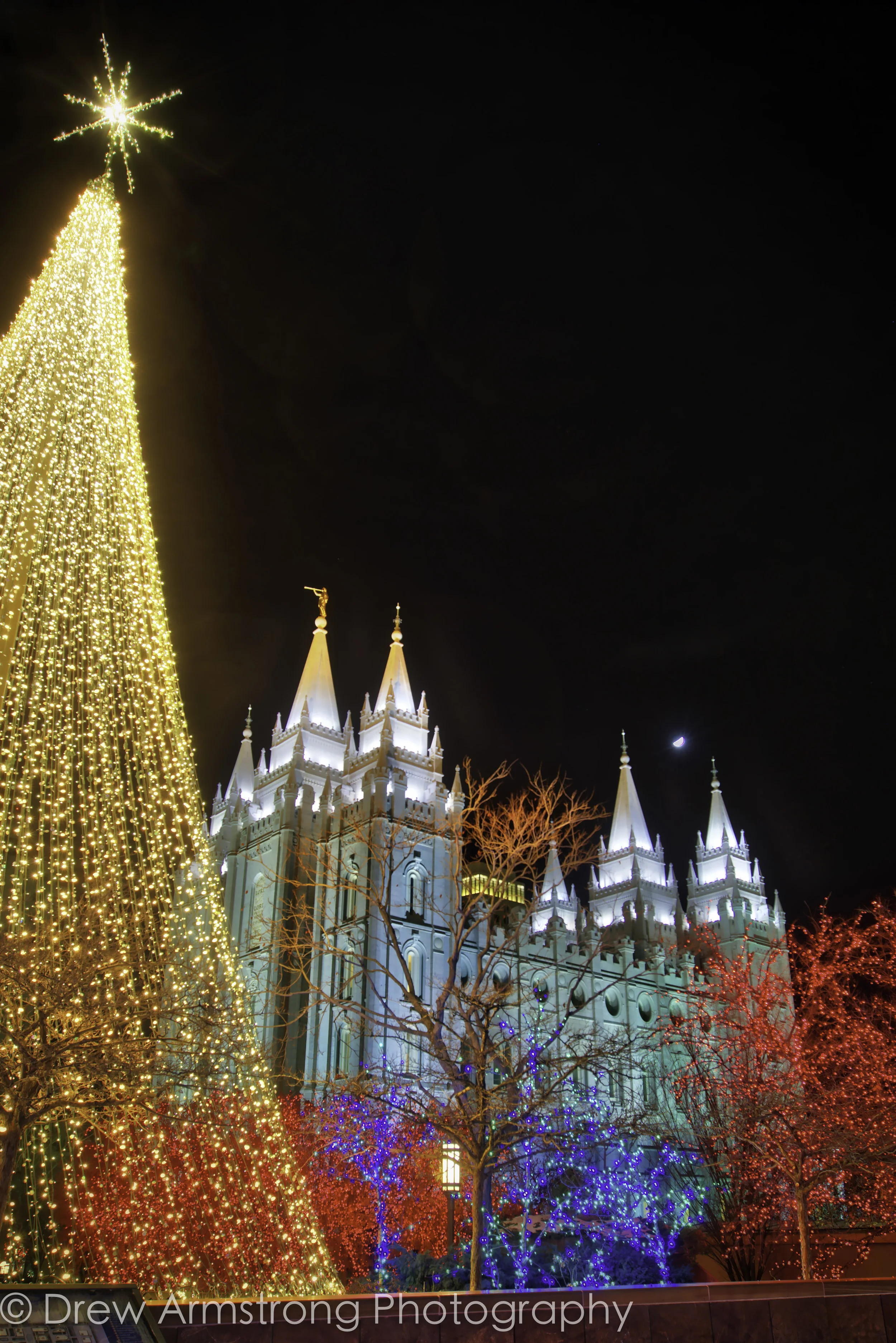 Salt Lake Temple Christmas (4 of 1).jpg