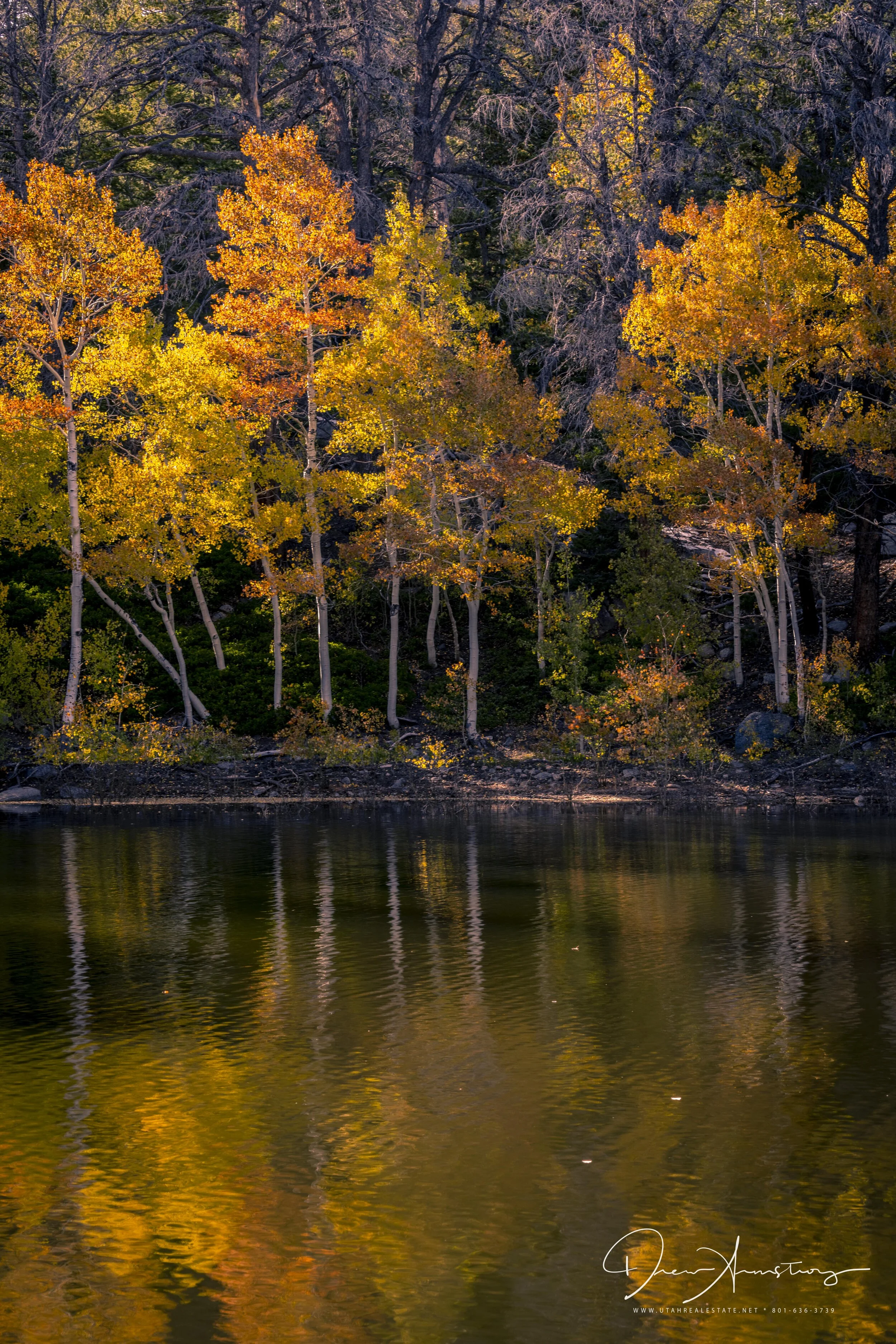 Weekend in Great Basin and Factory Butte  Under 10megs-48.jpg