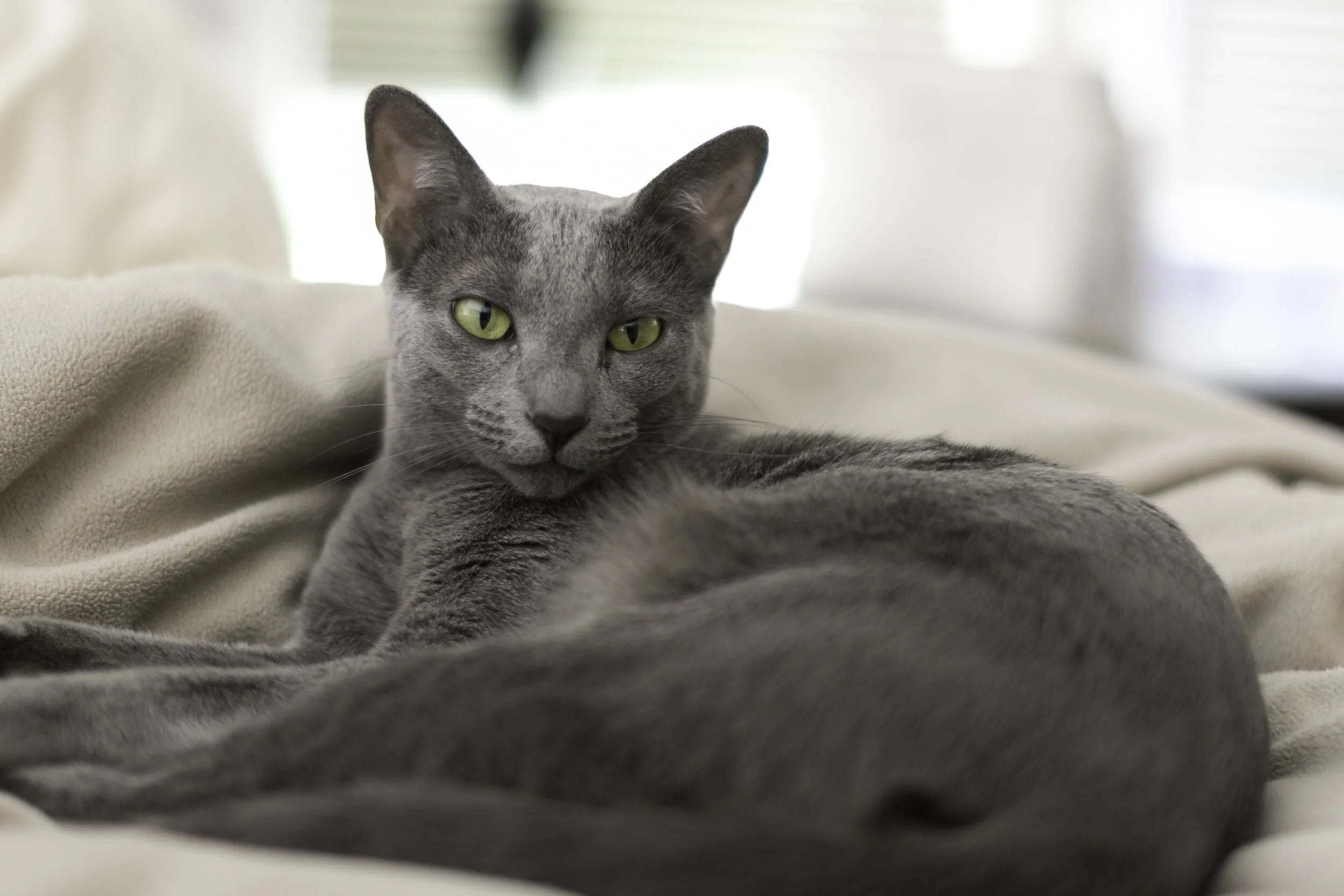 For Jamie to Choose from-92.jpg