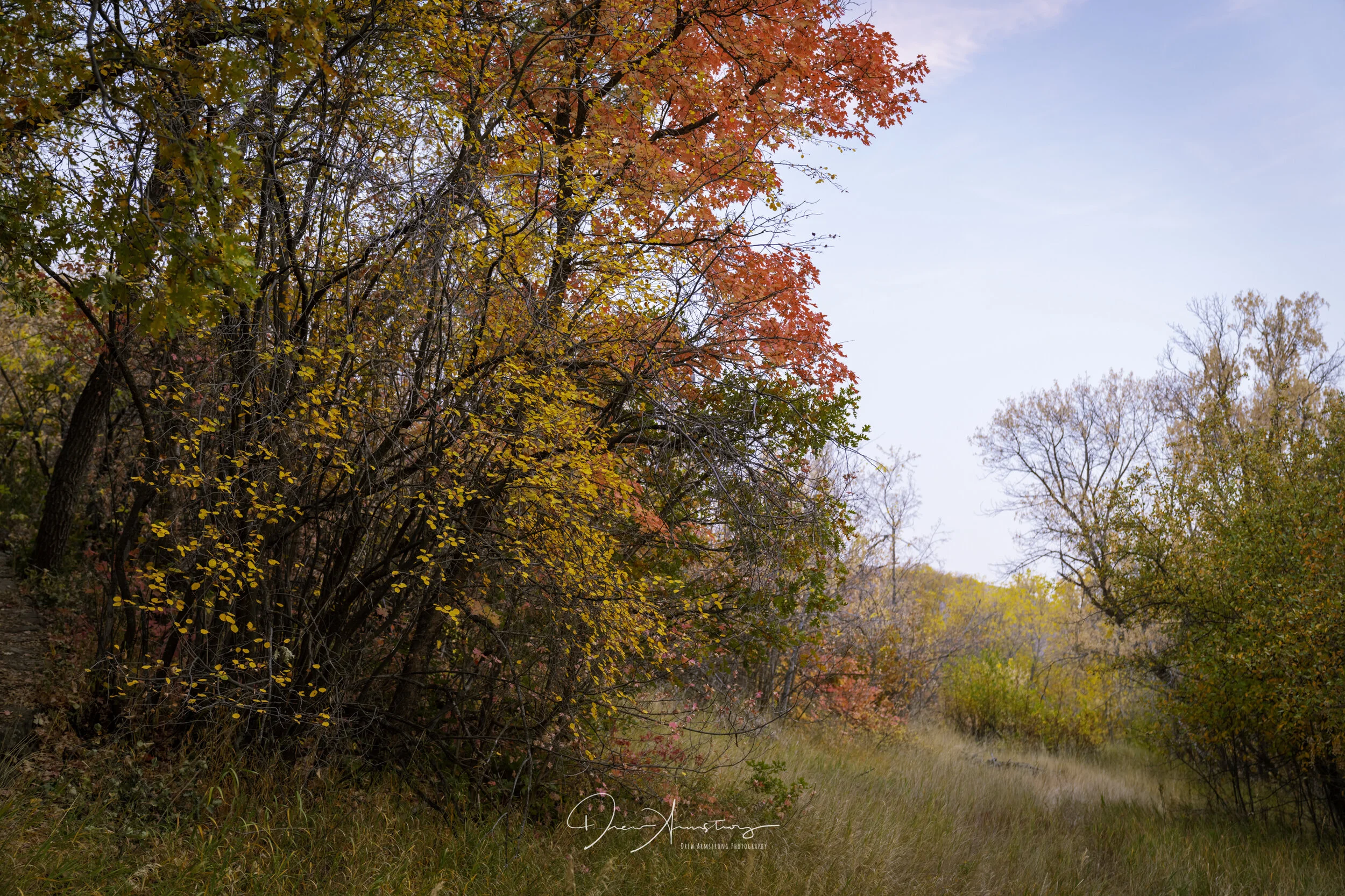 Cascade Springs Fall Color 2020-42.jpg