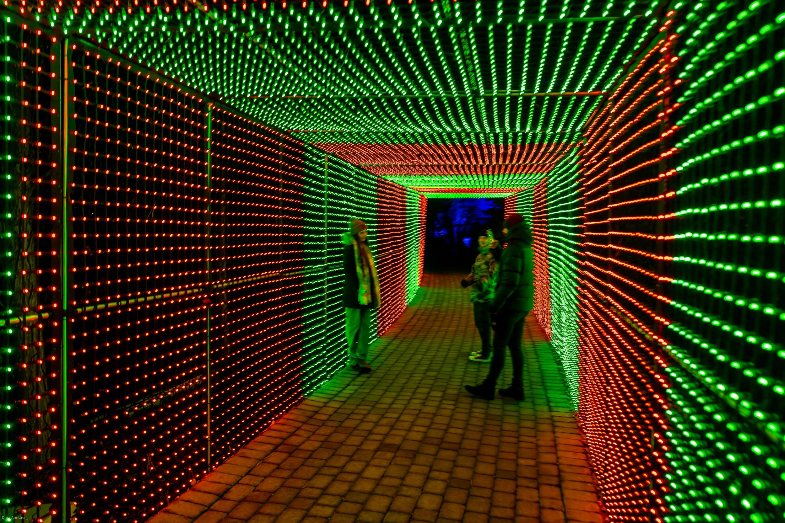 Luminaria Batch One 2022 Export-58.jpg