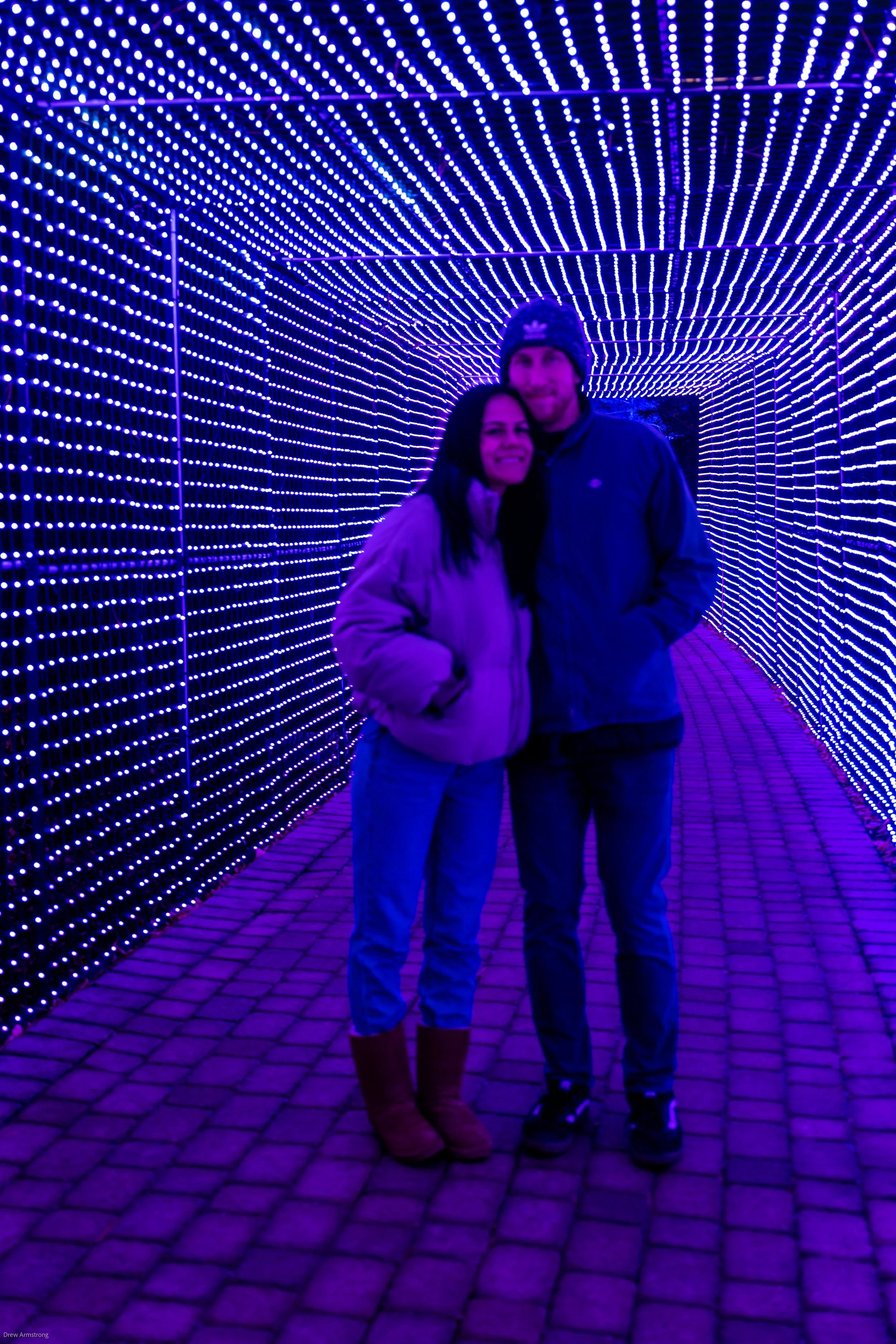 Luminaria Batch One 2022 Export-83.jpg