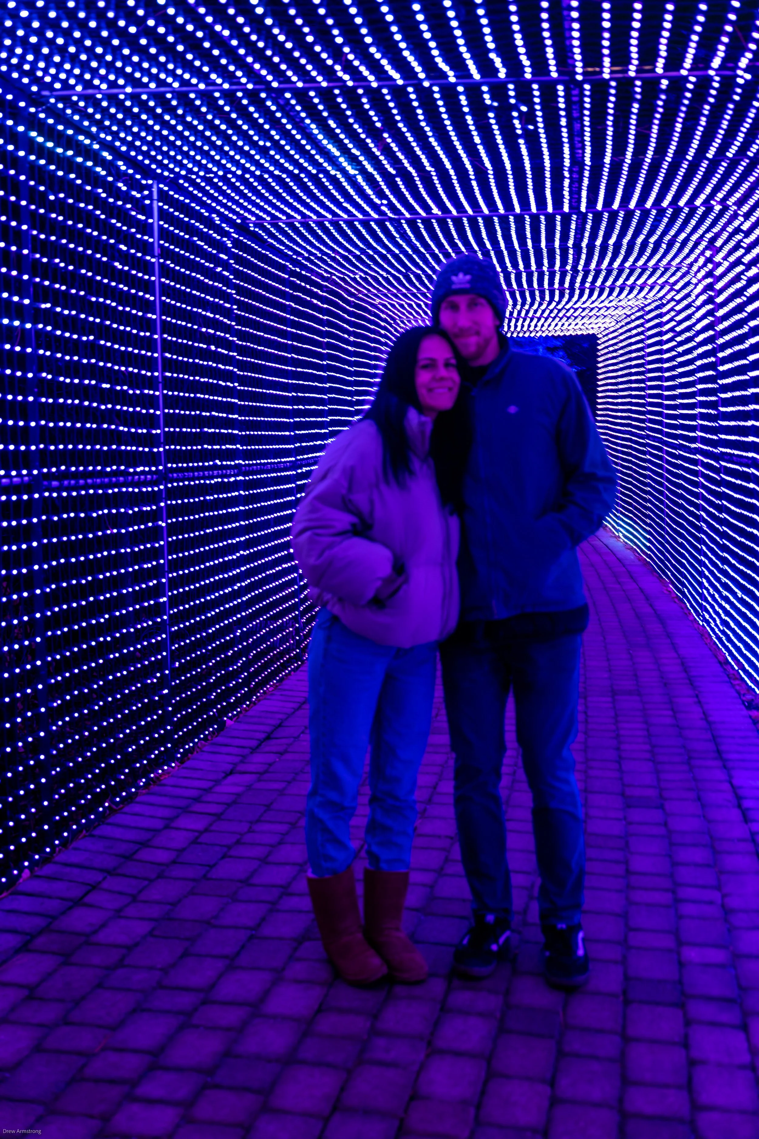 Luminaria Batch One 2022 Export-84.jpg