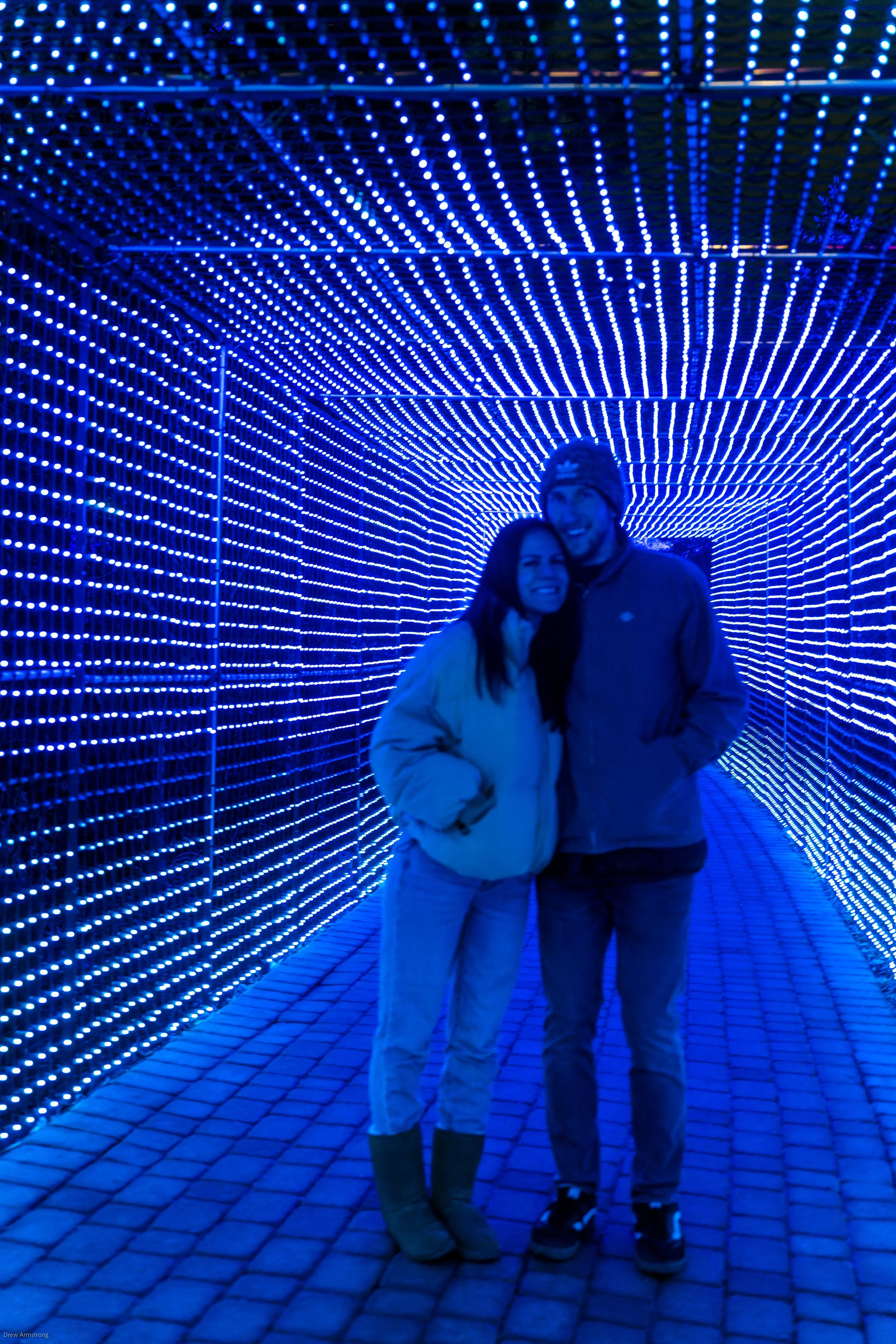 Luminaria Batch One 2022 Export-86.jpg