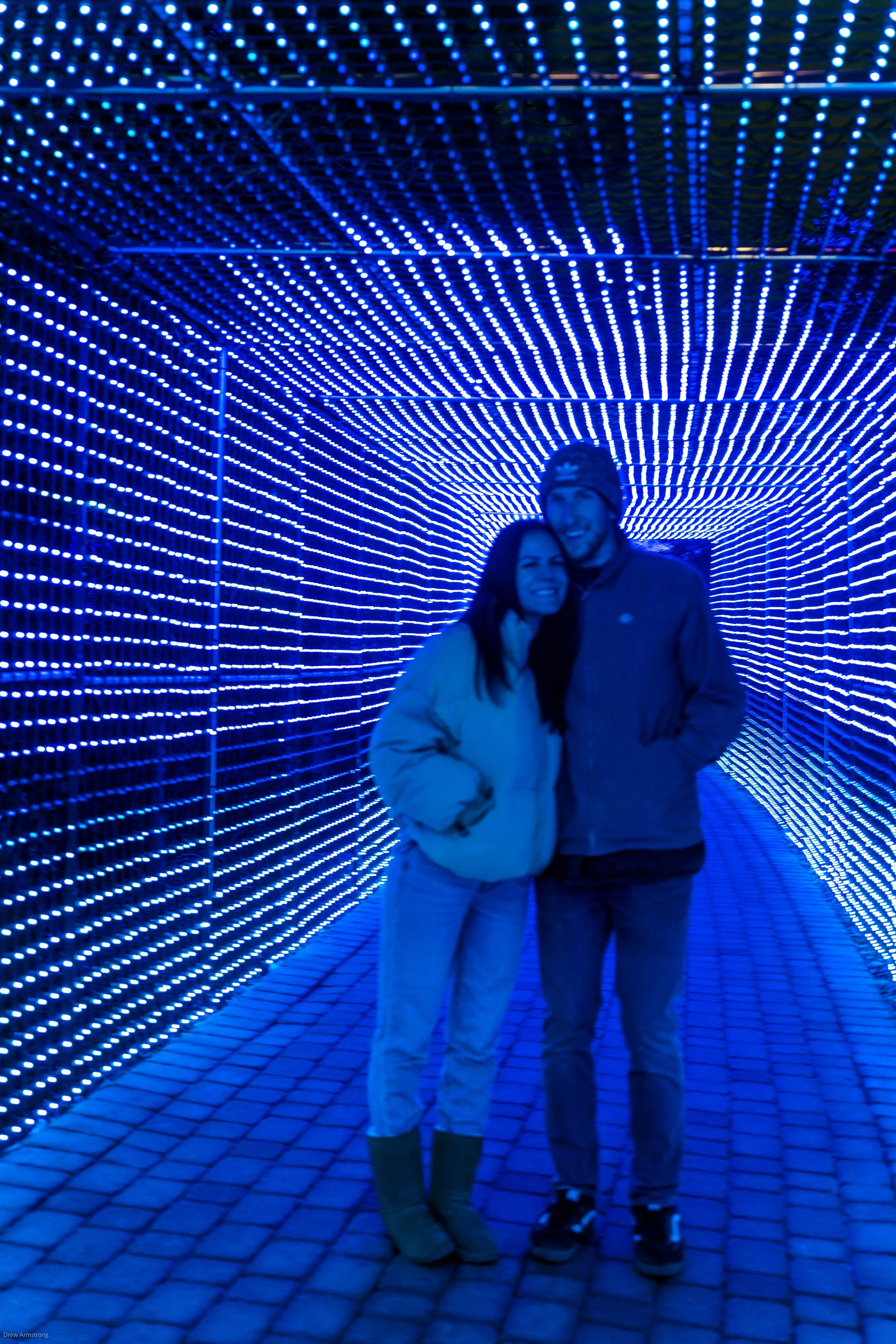 Luminaria Batch One 2022 Export-85.jpg