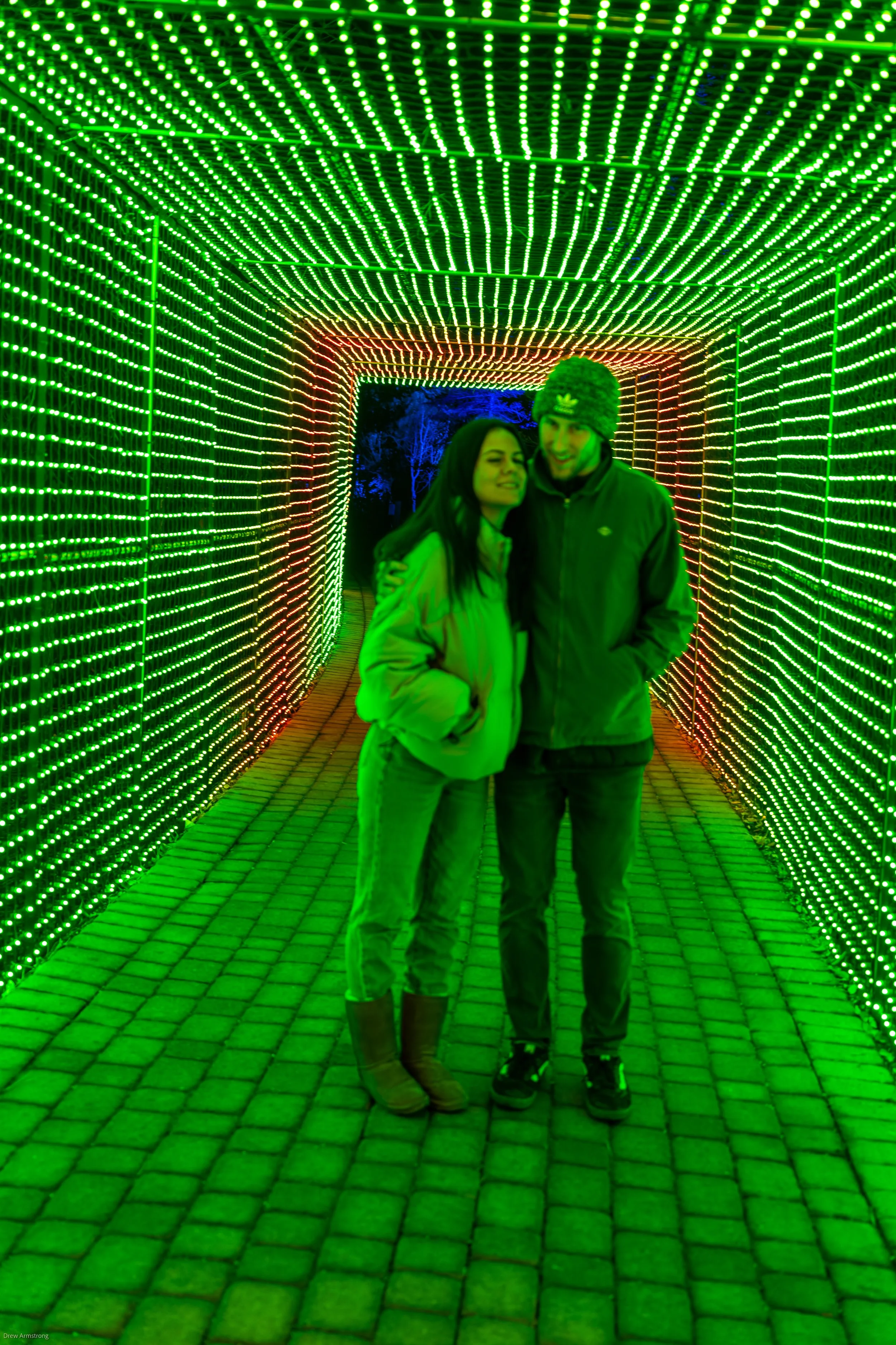 Luminaria Batch One 2022 Export-99.jpg