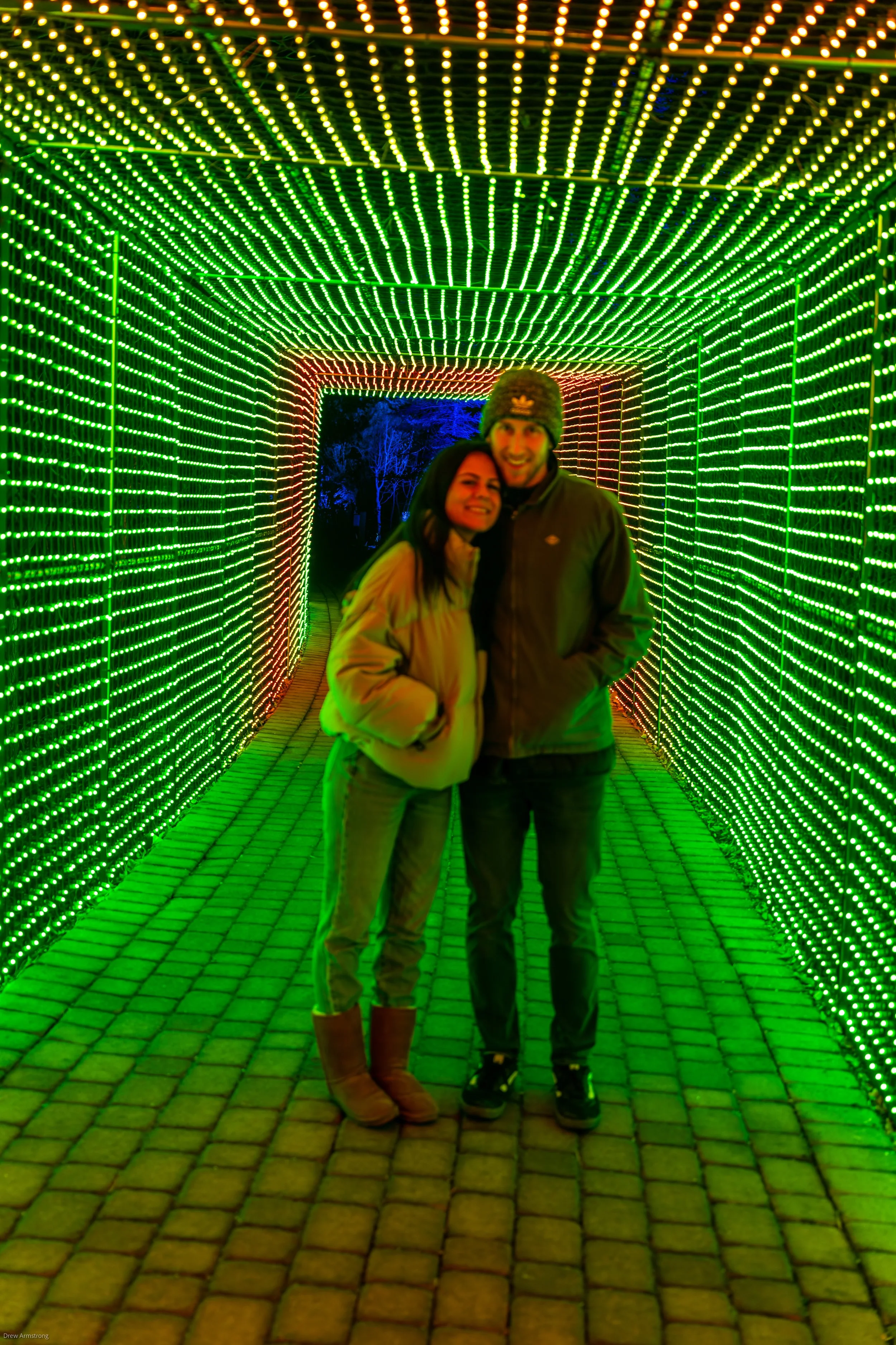 Luminaria Batch One 2022 Export-100.jpg