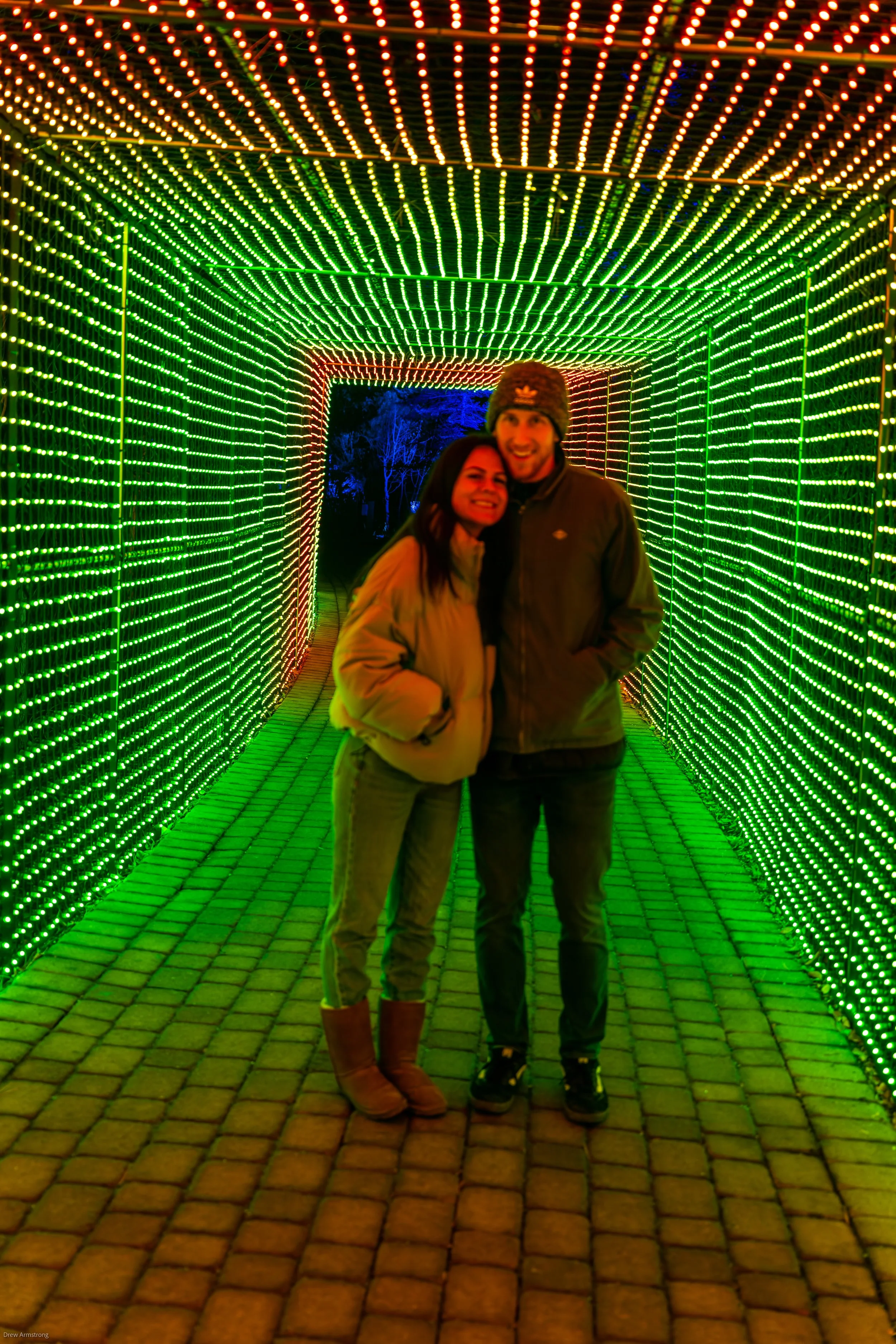 Luminaria Batch One 2022 Export-102.jpg