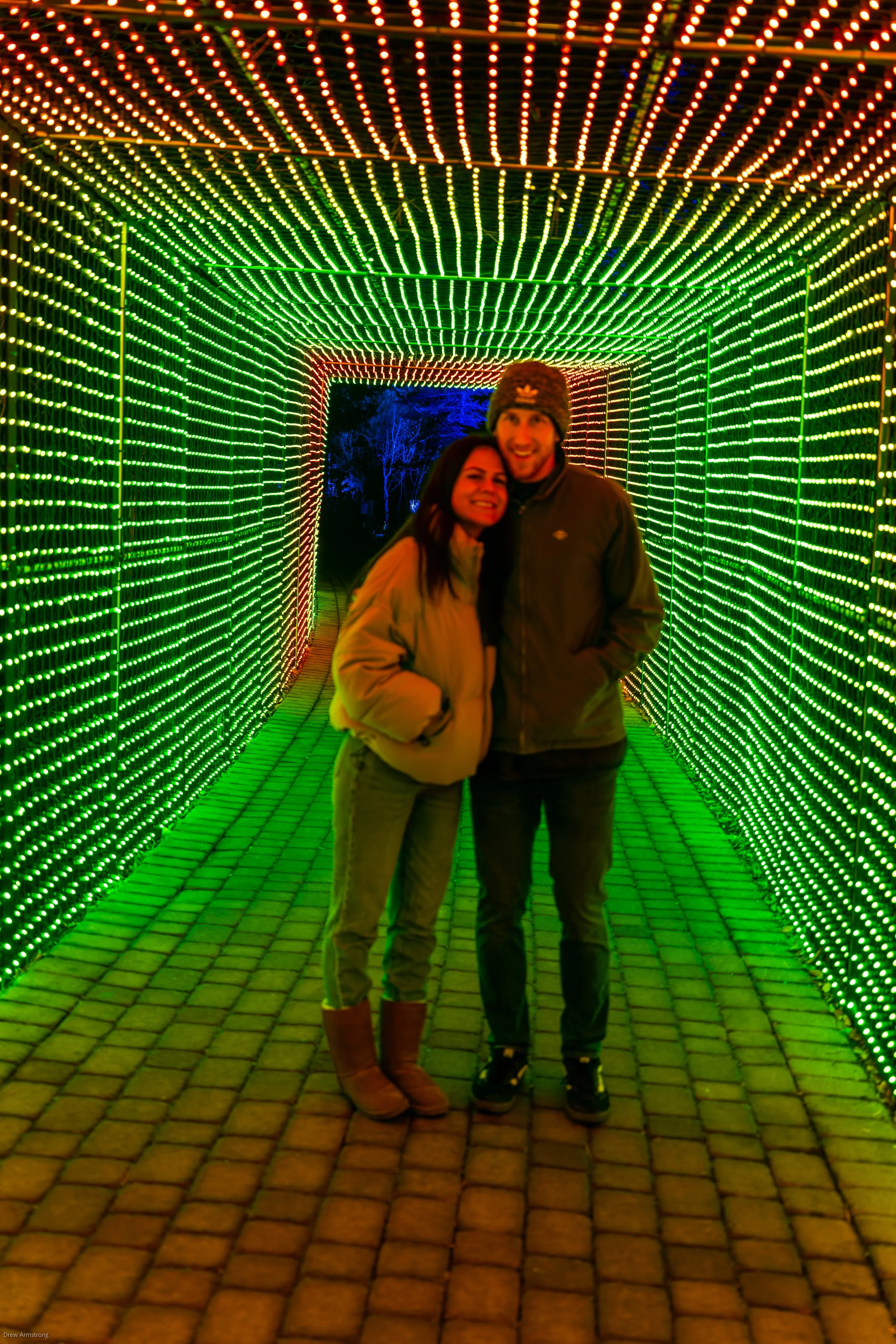 Luminaria Batch One 2022 Export-103.jpg