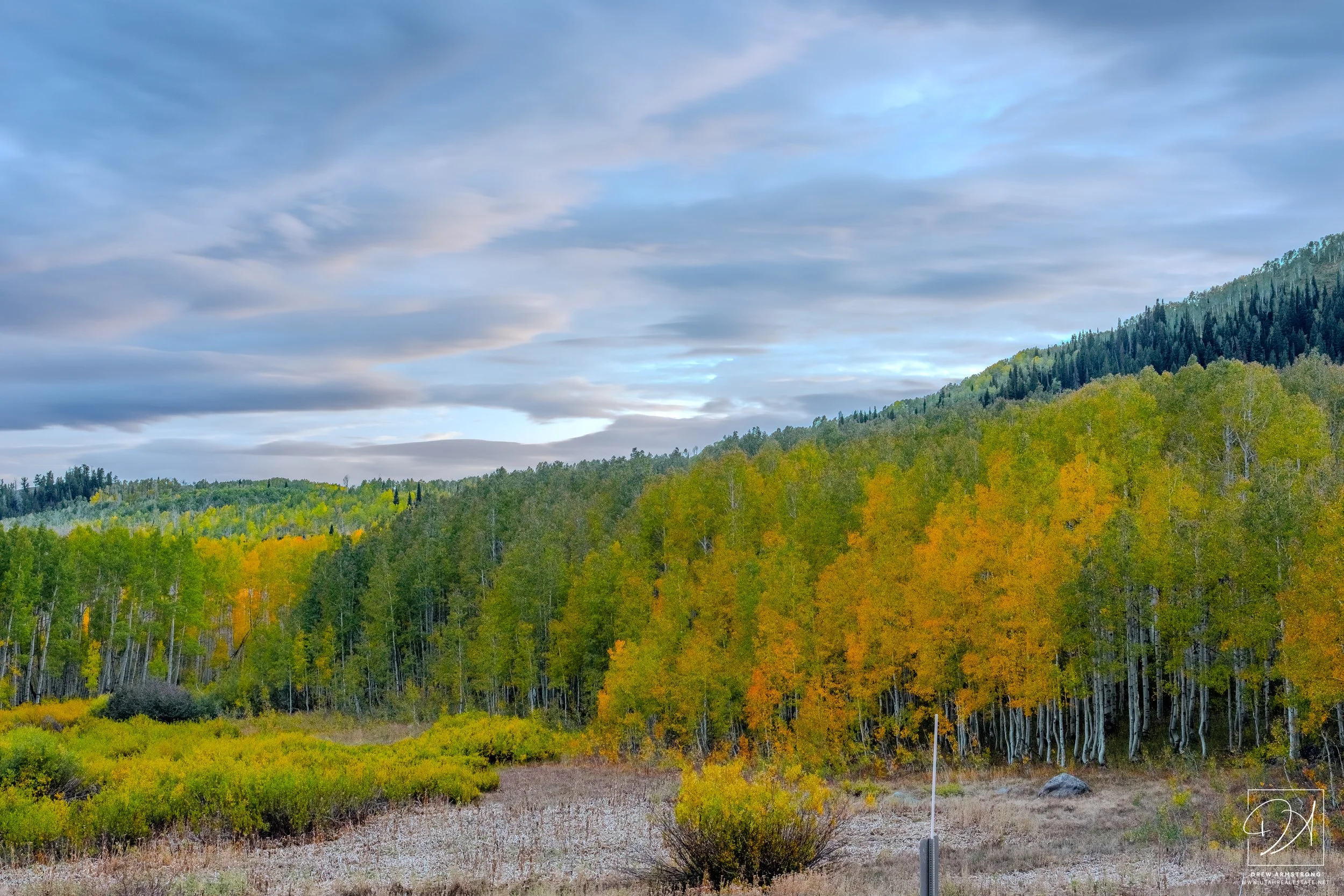 Fall Color 2025 with Brendan-1.jpg