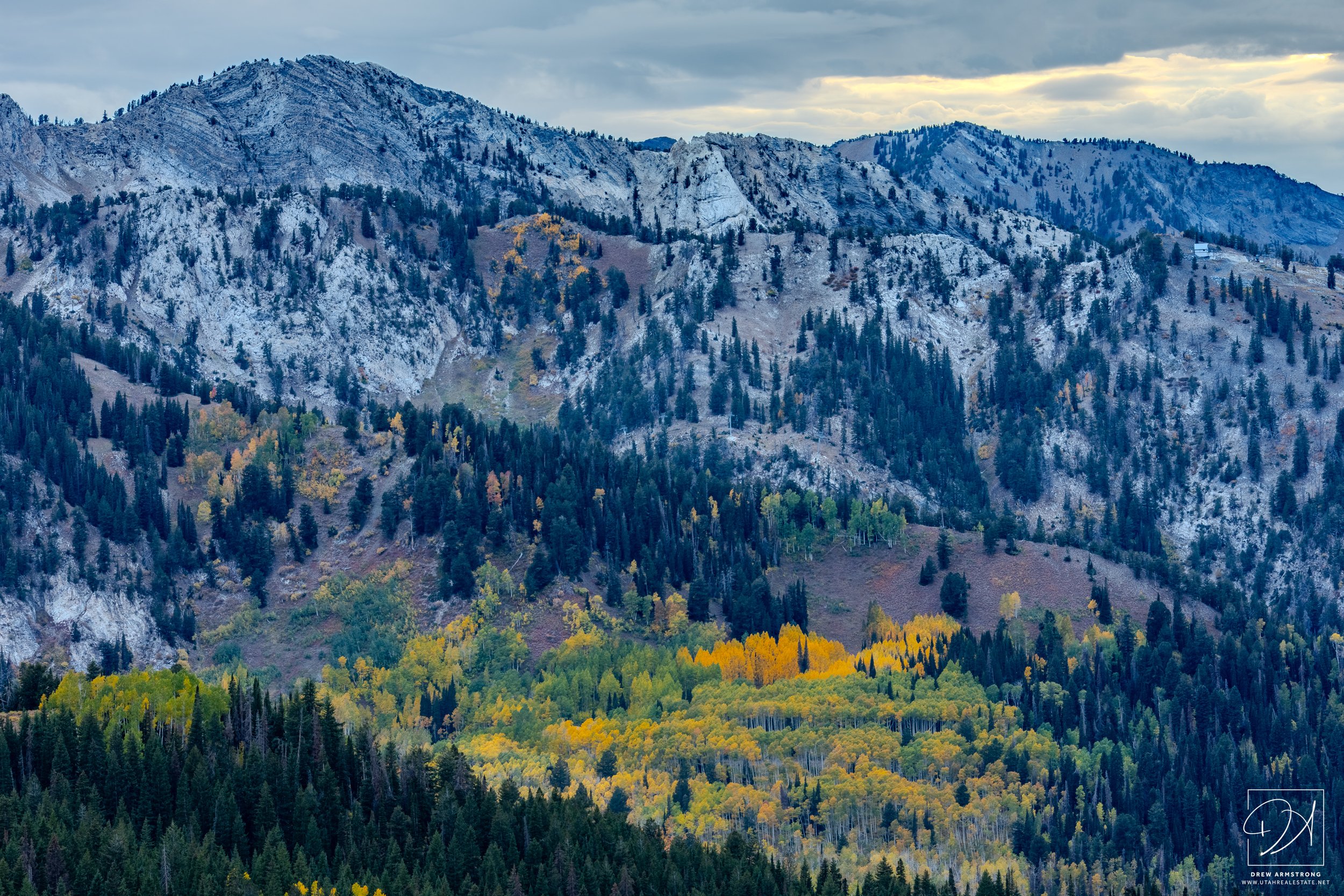 Fall Color 2025 with Brendan-3.jpg