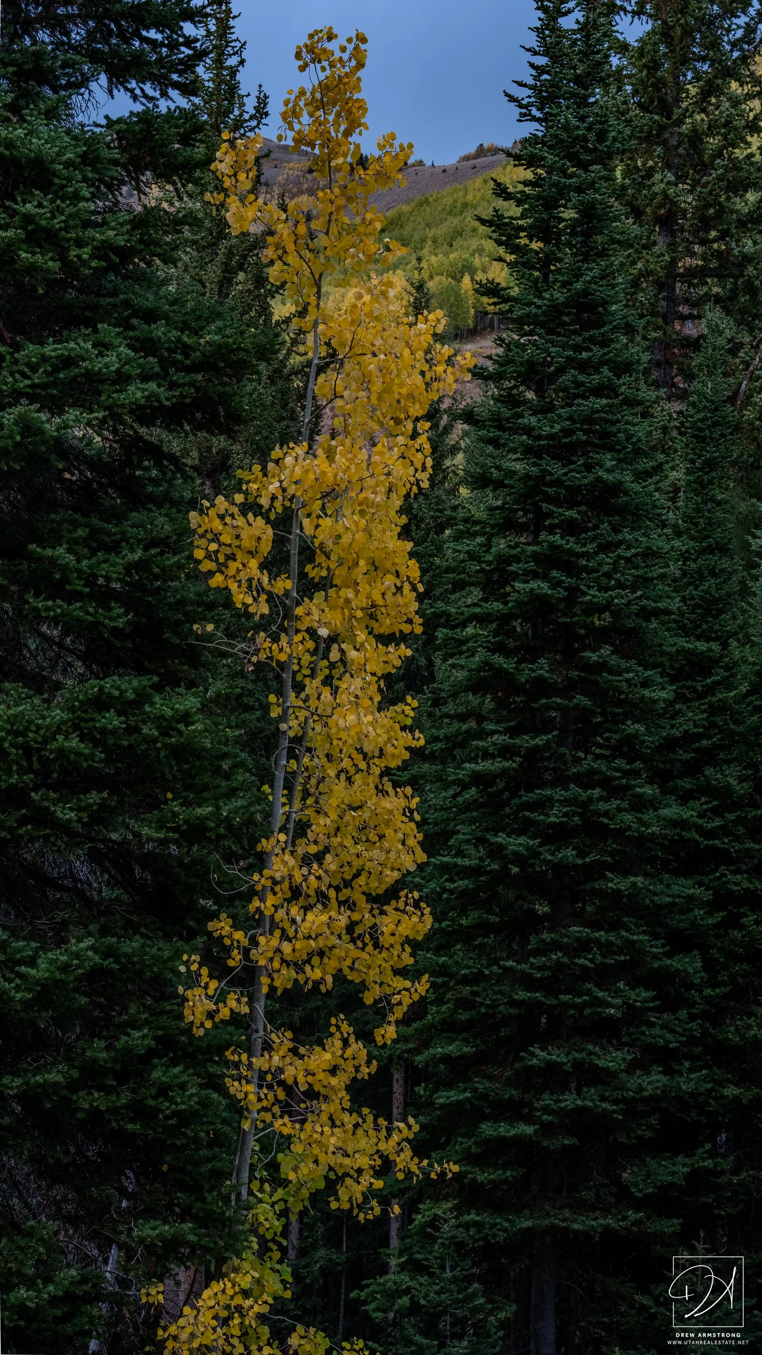 Fall Color 2025 with Brendan-8.jpg