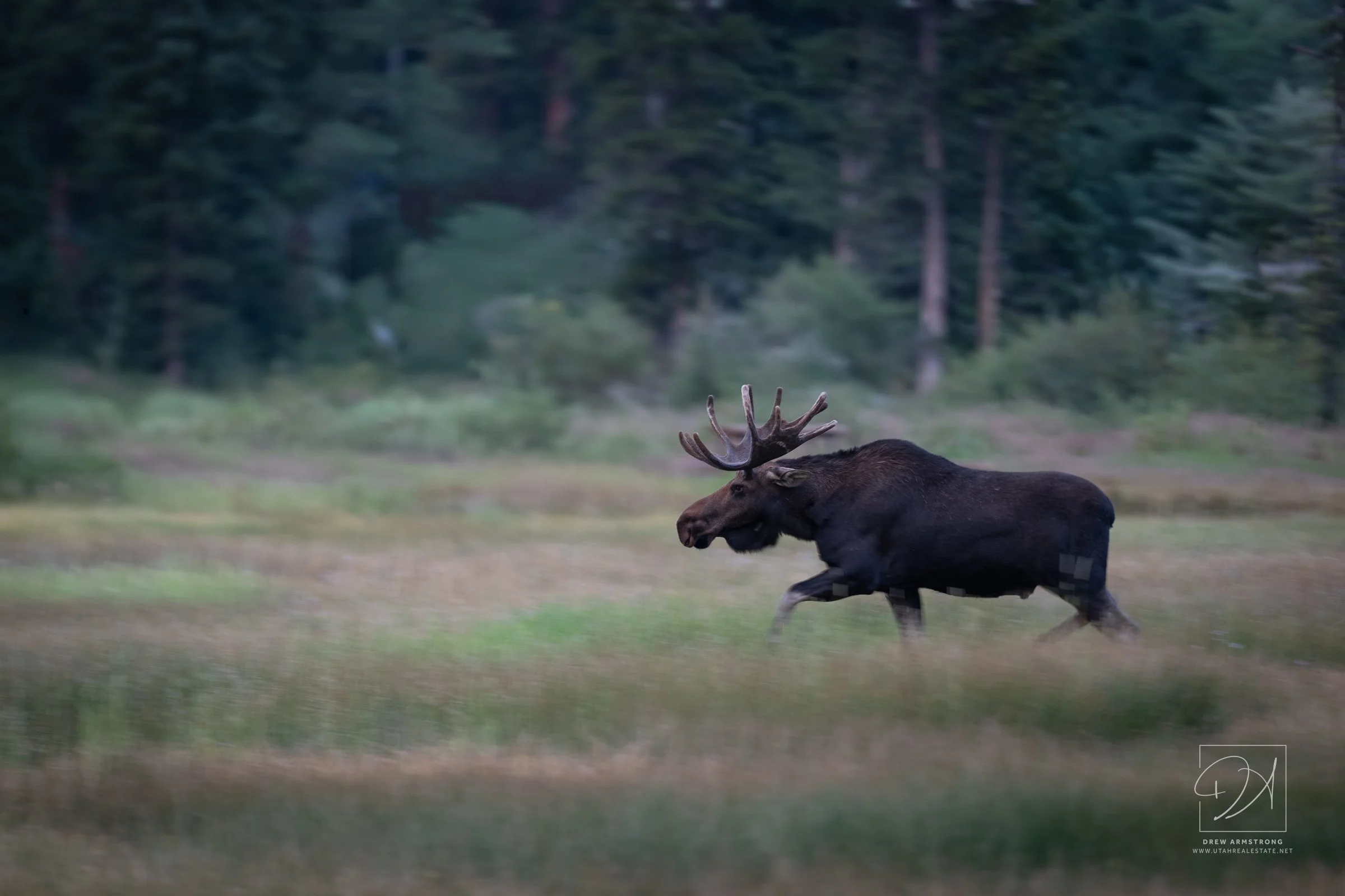 Silver Lake Moose 2026-180.jpg