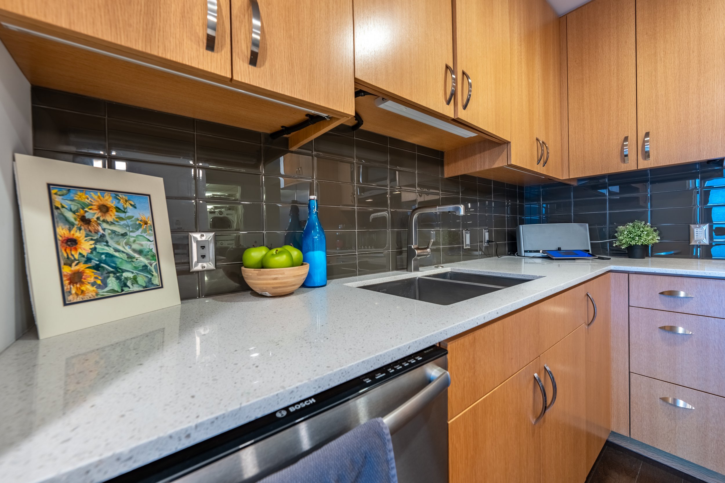 Regent Condo-5.jpg