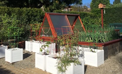 Brentwood Urban Farm in Los Angeles has 20 organic garden beds, 22 fruit trees, rain barrels, graywater systems, solar panels, and xeriscaping.
