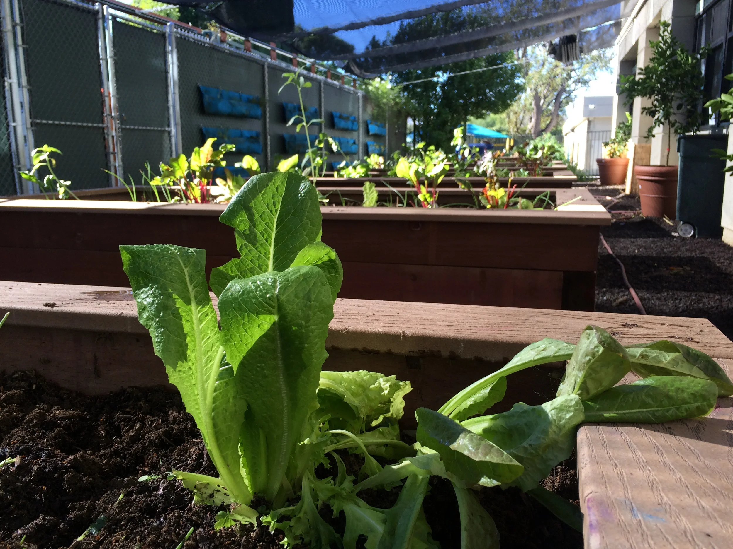 help group al beds.JPG